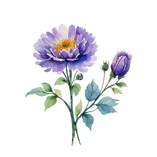 Violet And Crysanthemum