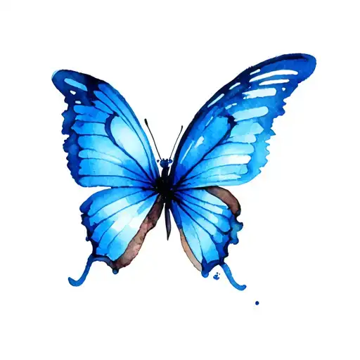 Blue Butterfly Wings
