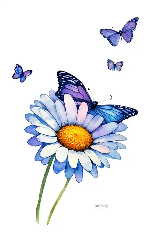 Daisy And Butterflies