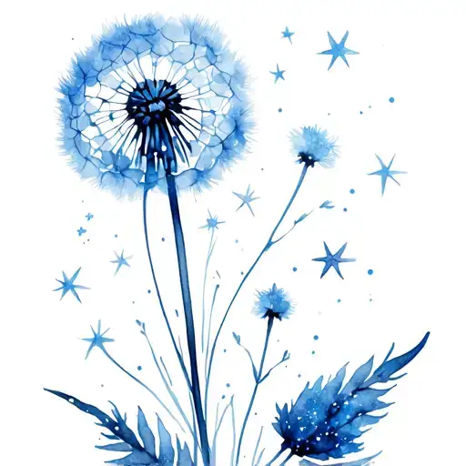 Dandelion Turning Into Galaxy Filled With Stars