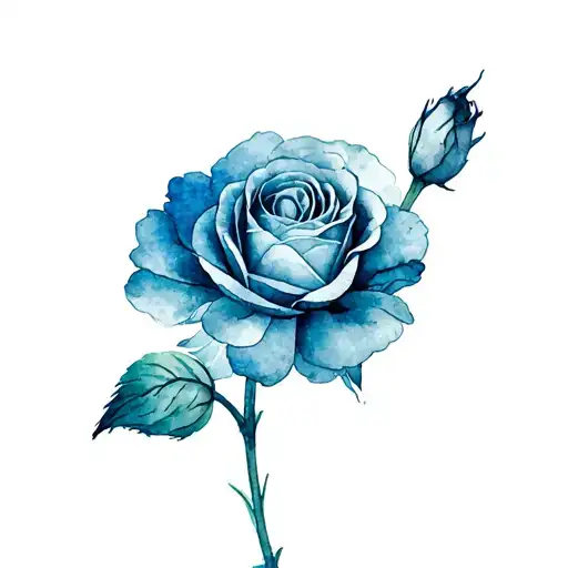 Carnation Flower And Rose Flower And Iris Flower And Daffodil Flower