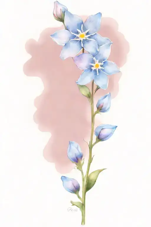 Forget Me Not Flower Growing