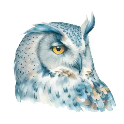 Side Profile Of An Owl With A Blue Eye