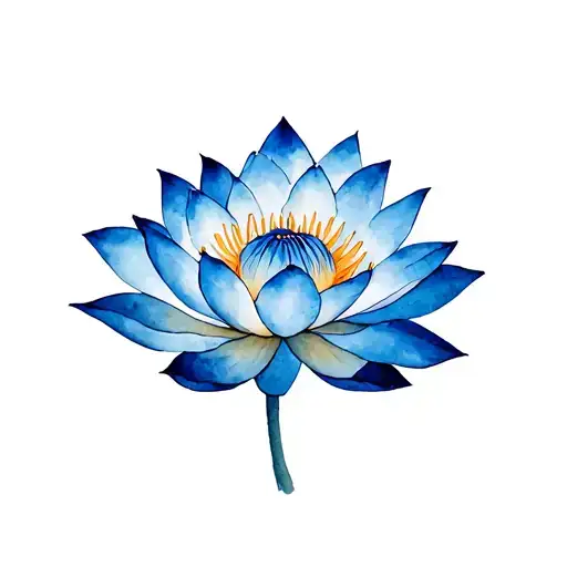 Blue Lotus With Nathan Through The Middle Part
