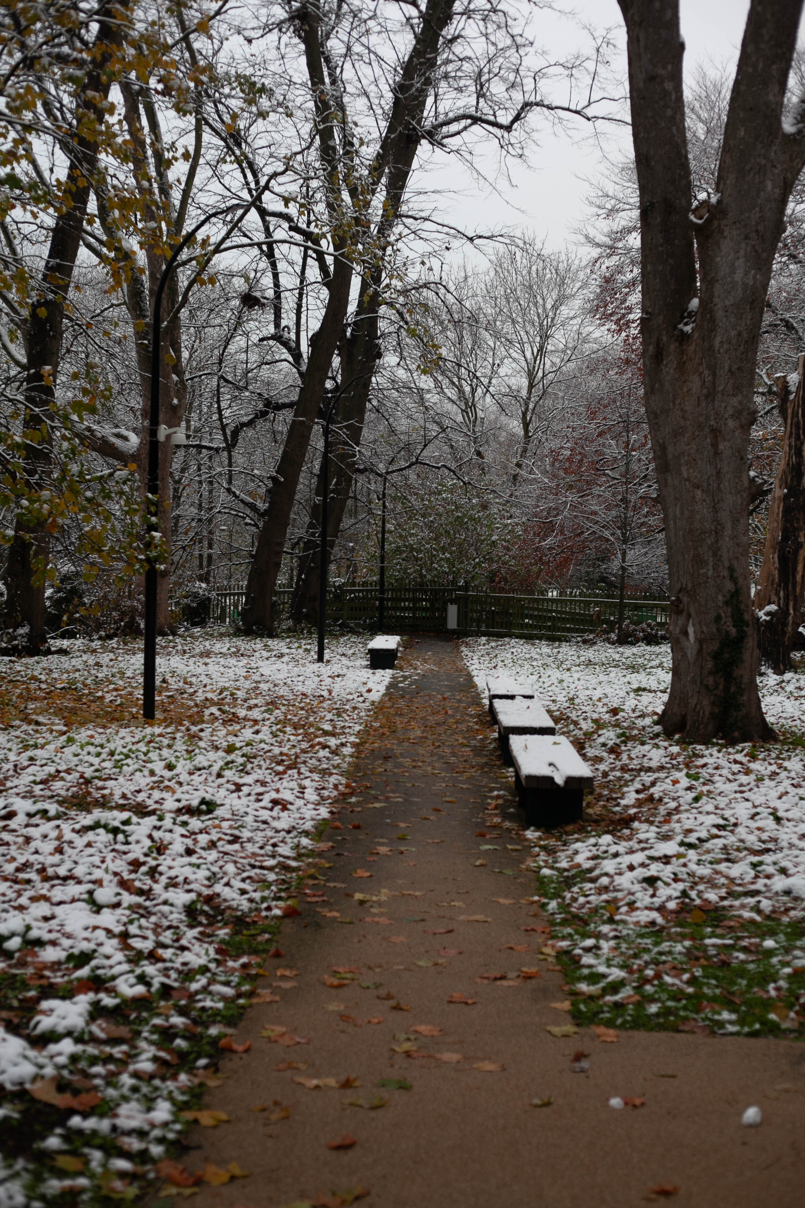 Snow in Roehampton, England
