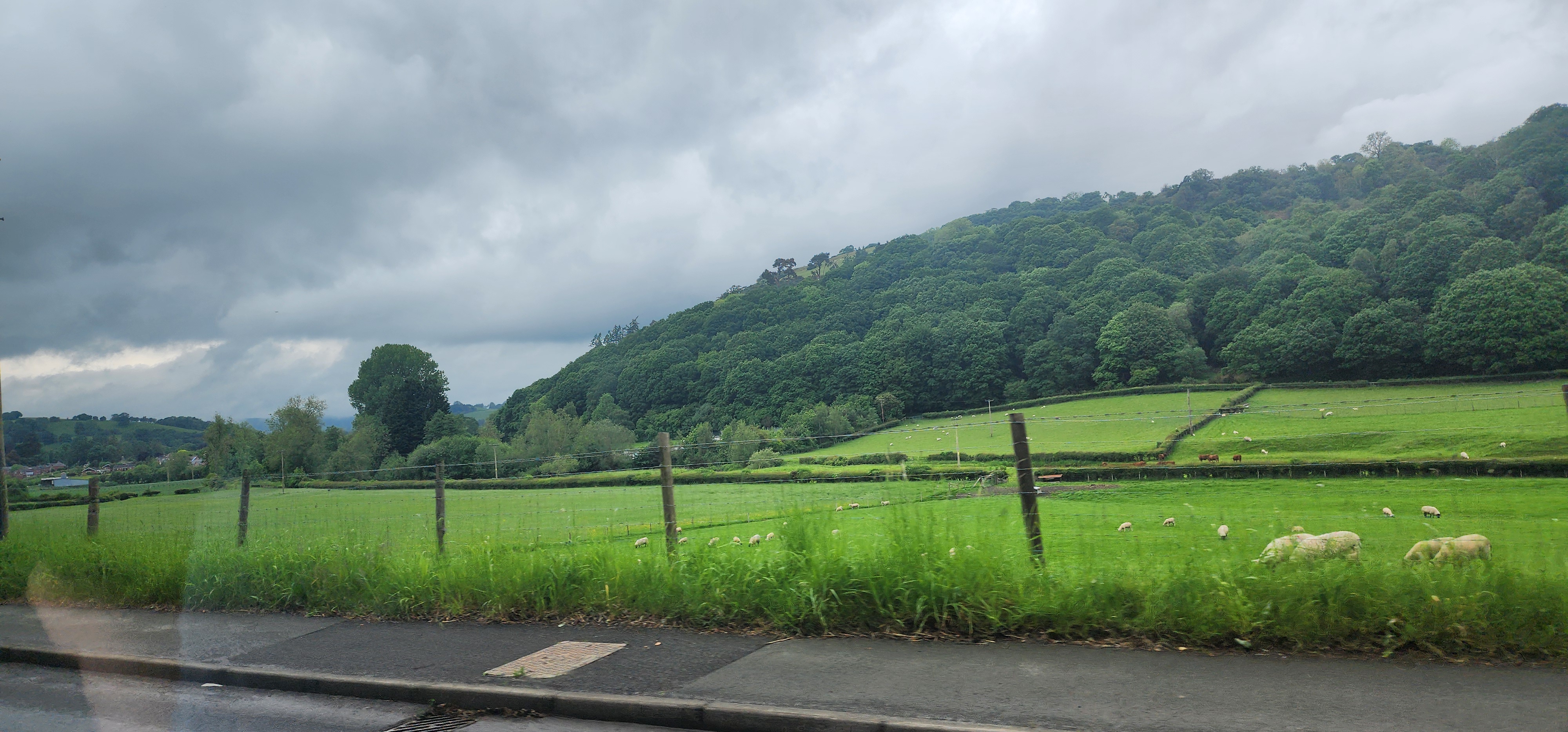 Lake Vyrnwy 7