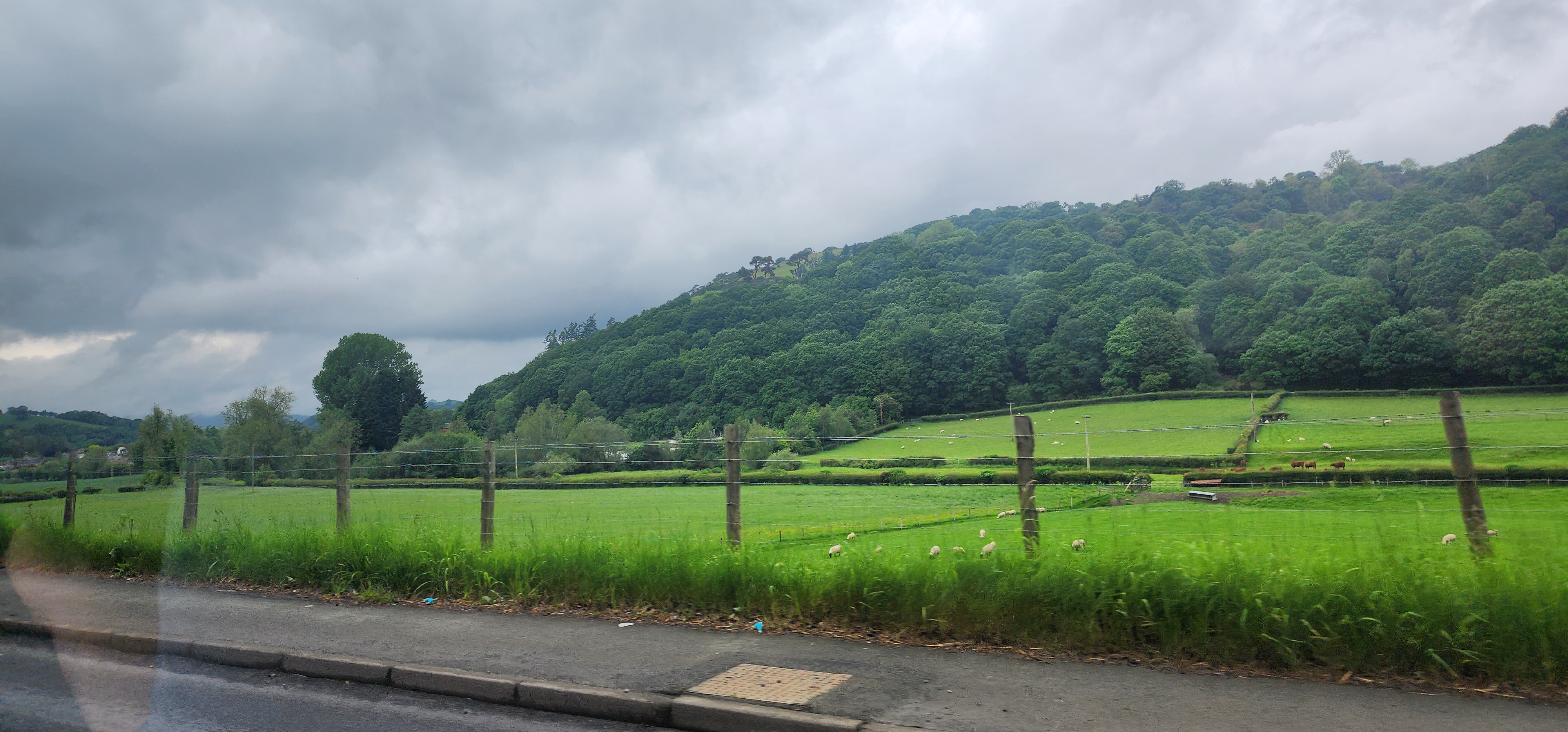 Lake Vyrnwy 8