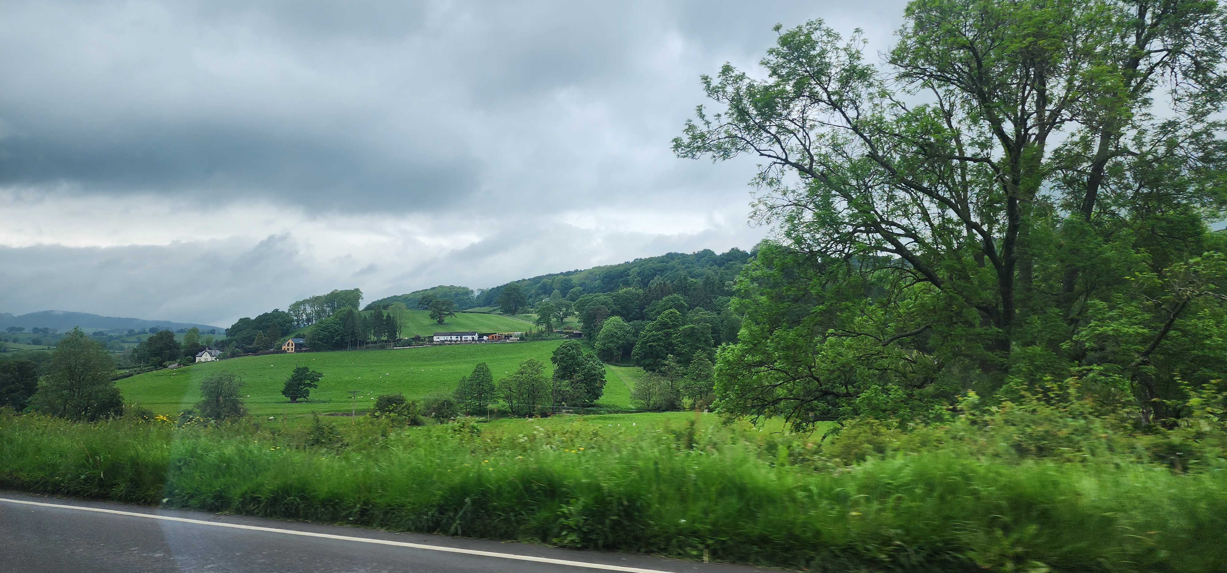 Lake Vyrnwy 35