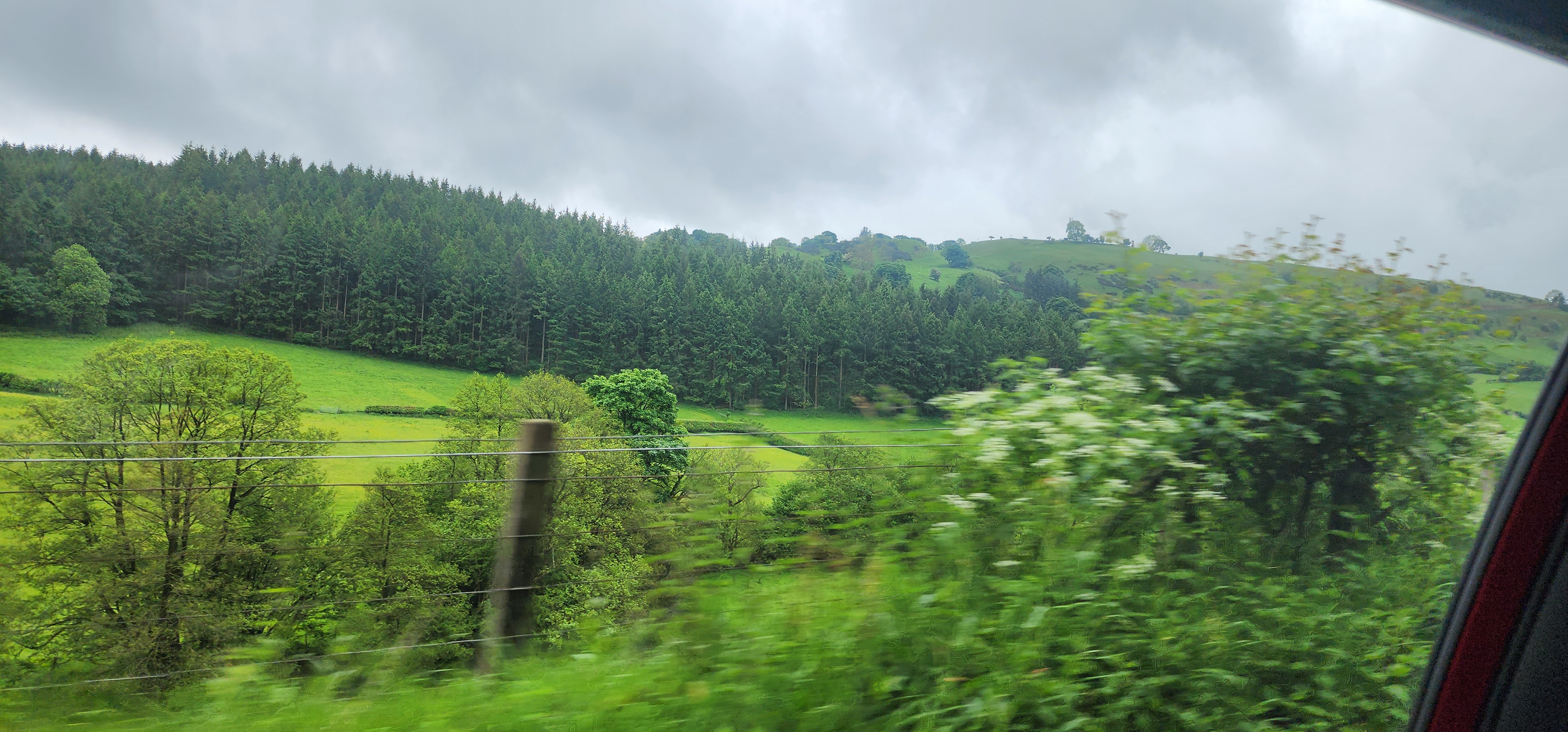Lake Vyrnwy 41