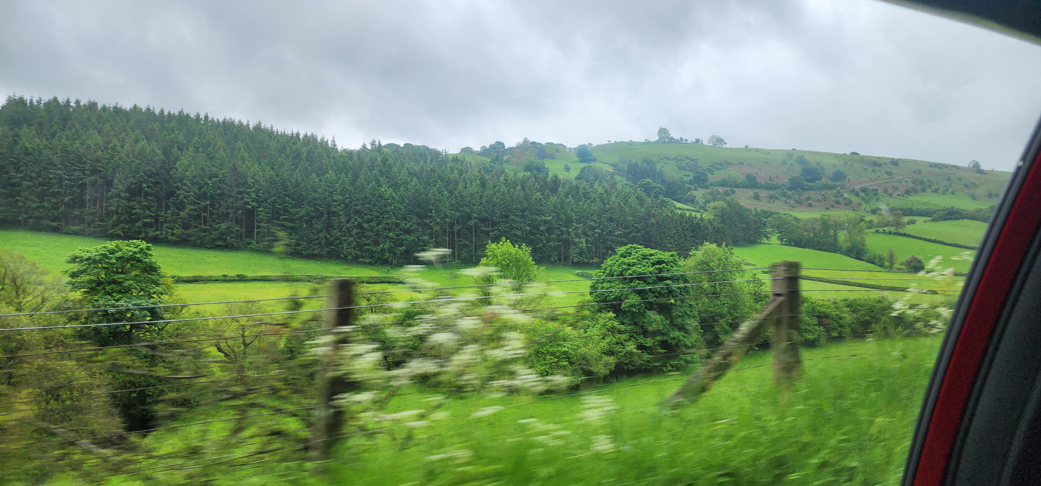 Lake Vyrnwy 43