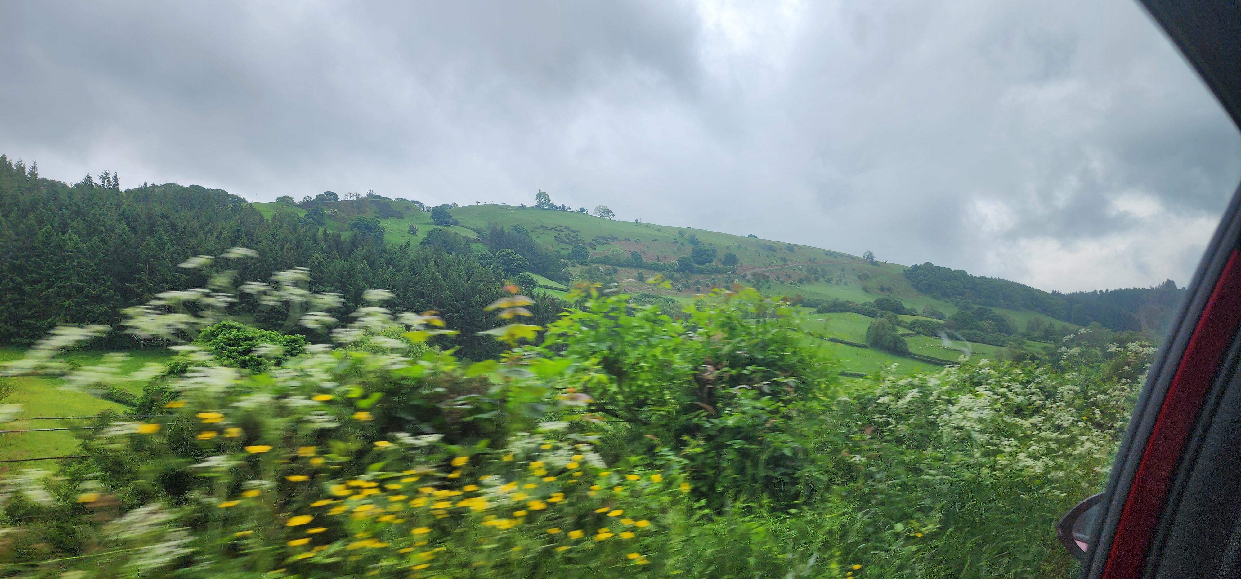 Lake Vyrnwy 45