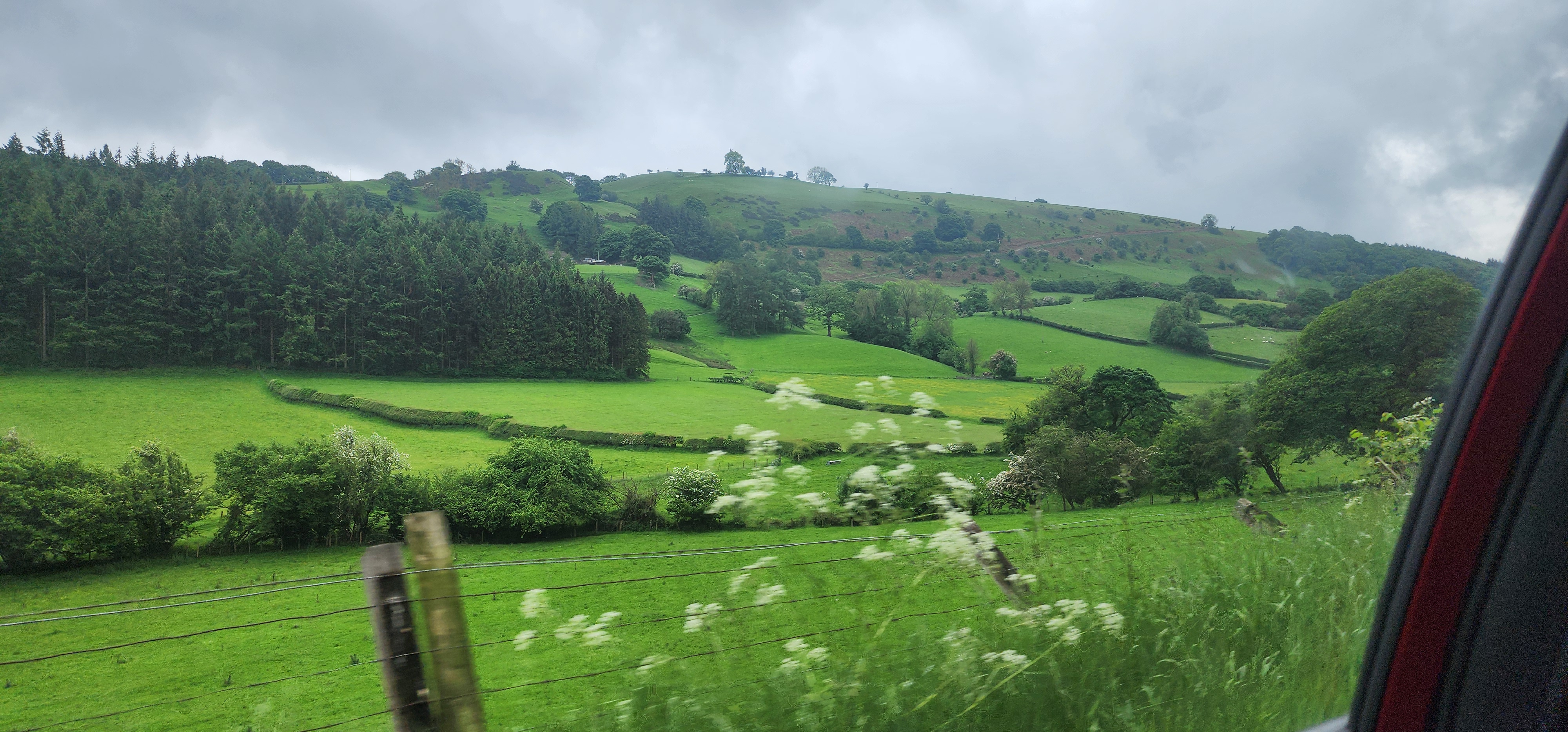 Lake Vyrnwy 46