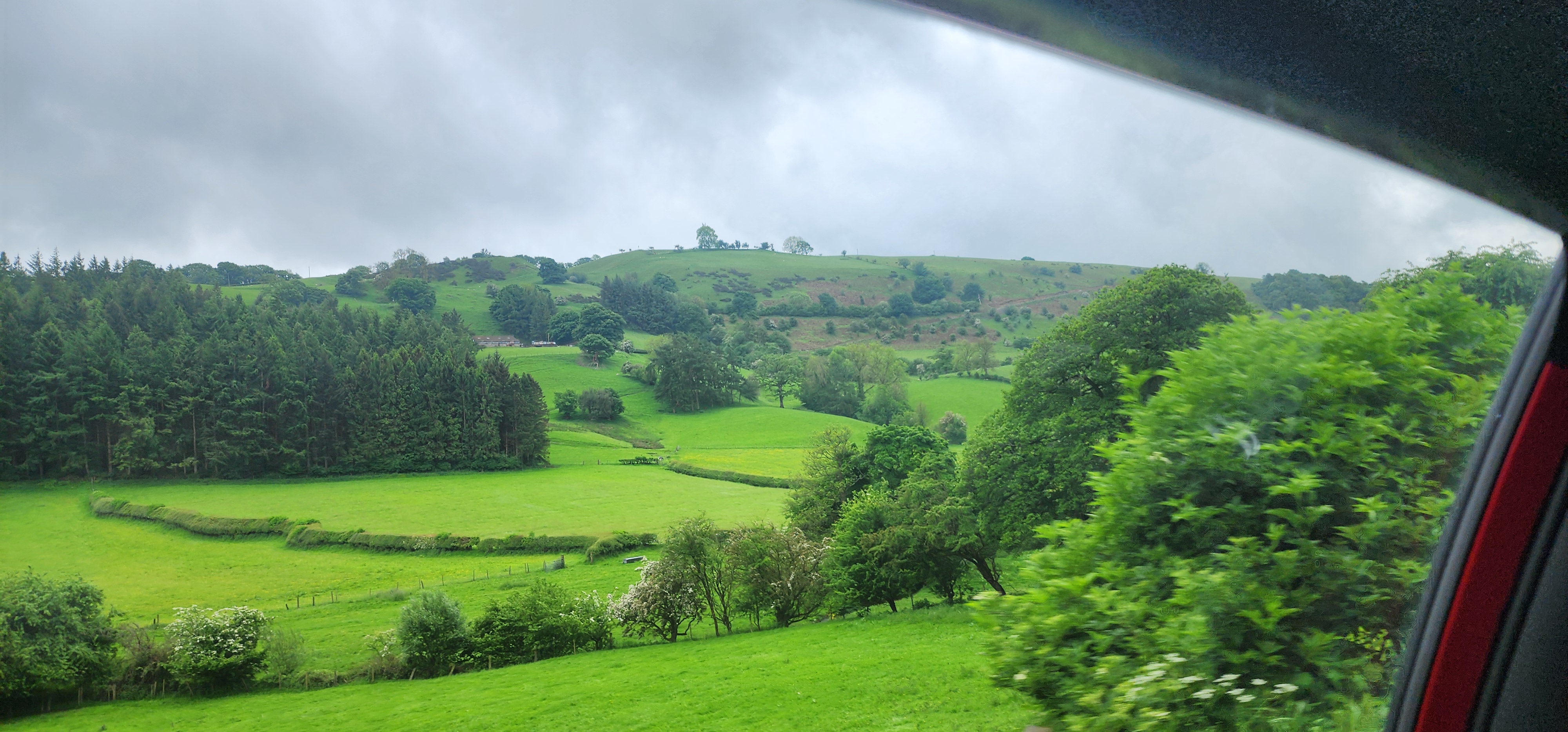 Lake Vyrnwy 47