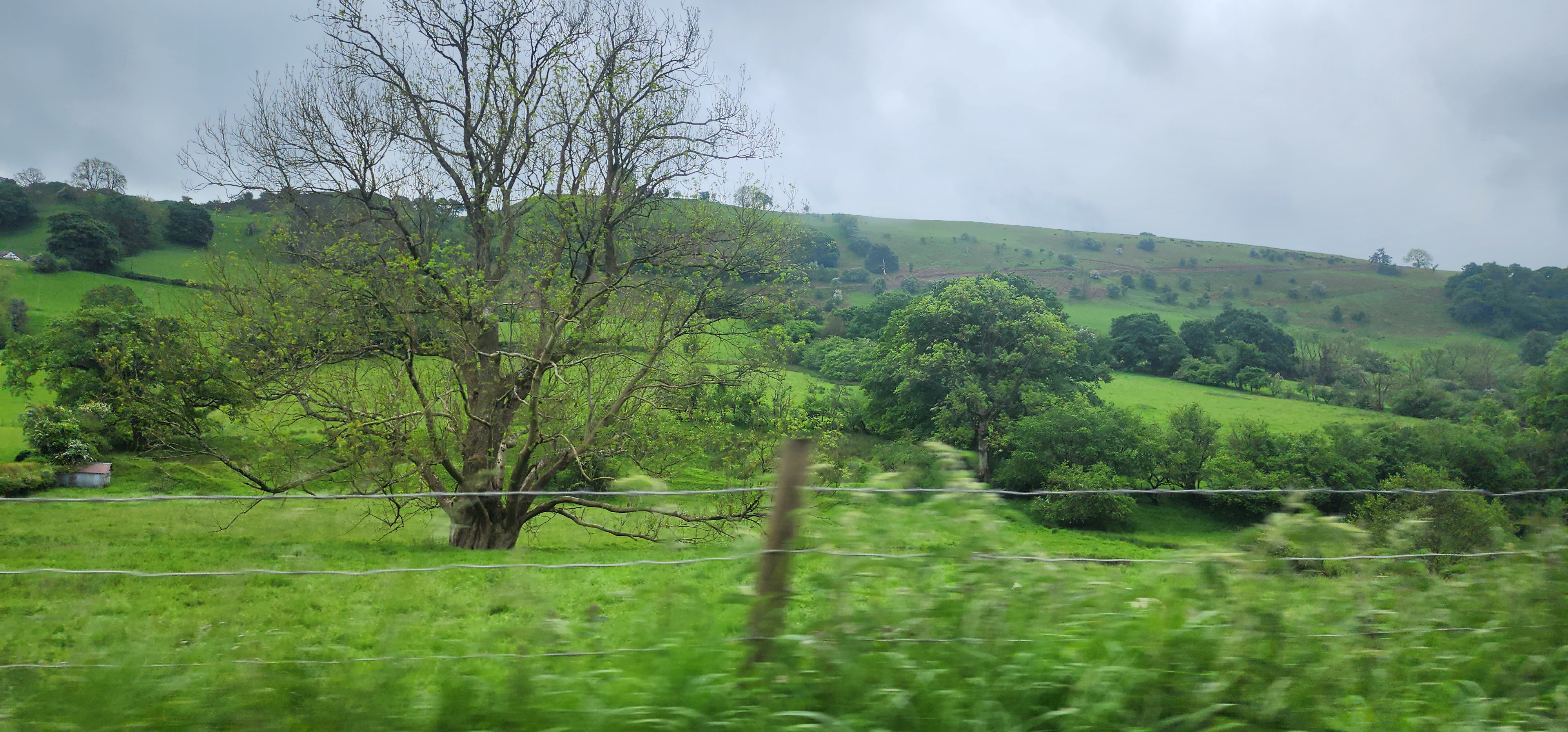 Lake Vyrnwy 48