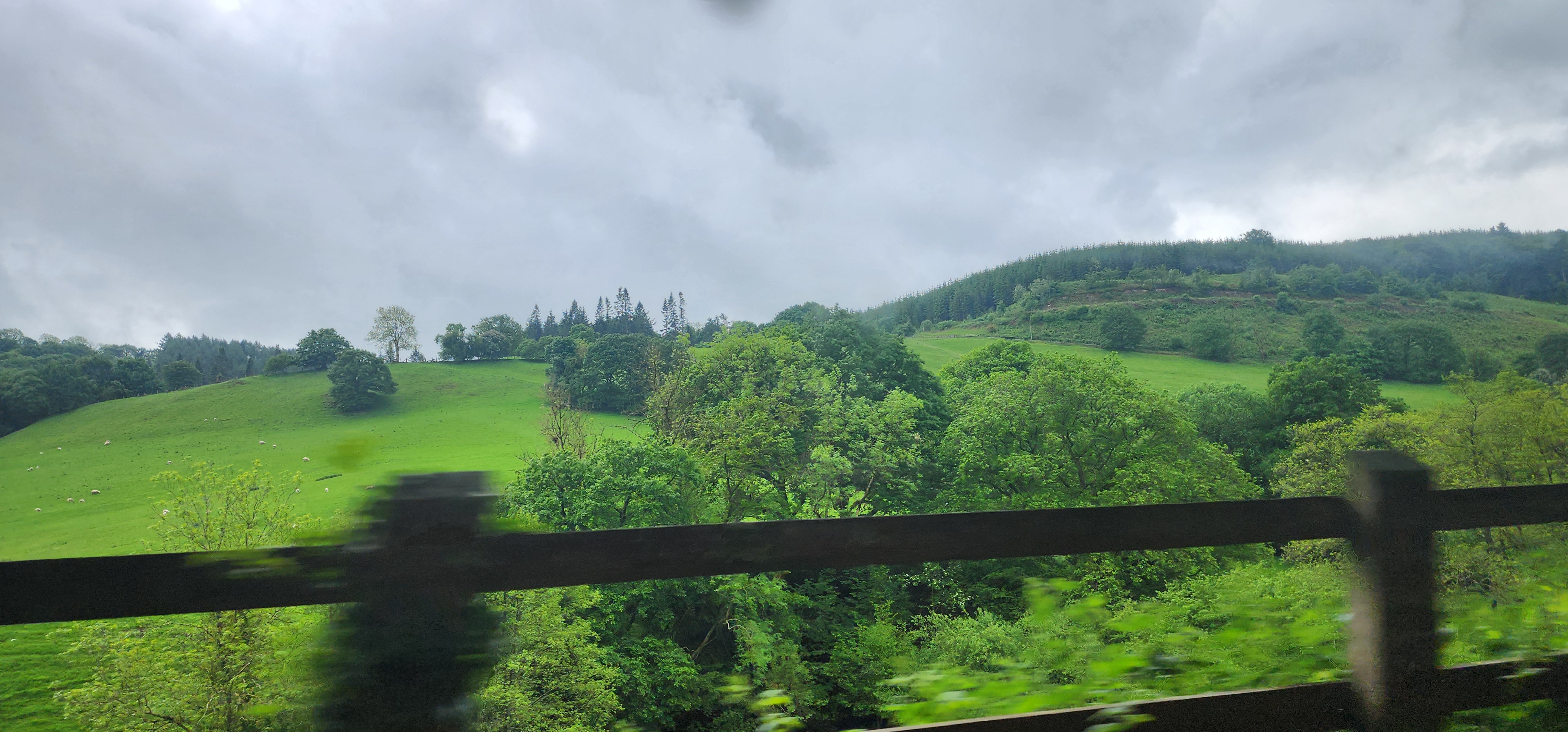 Lake Vyrnwy 51