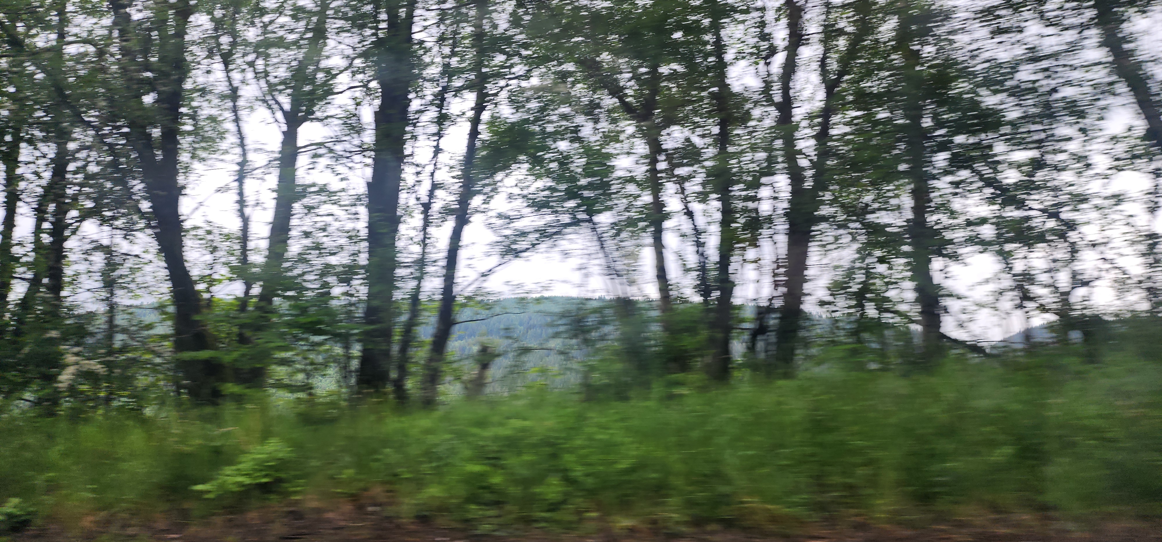 Lake Vyrnwy 52