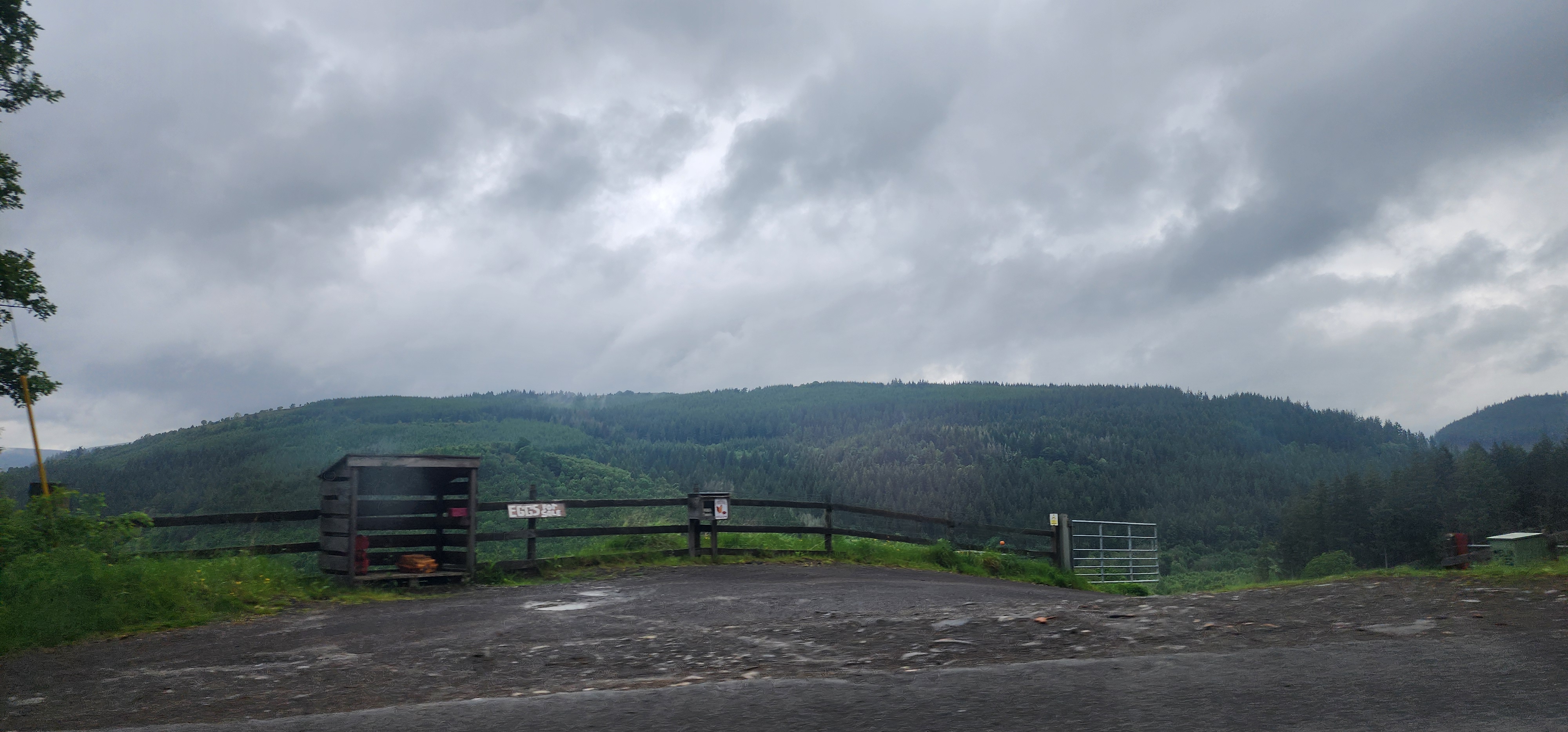 Lake Vyrnwy 53