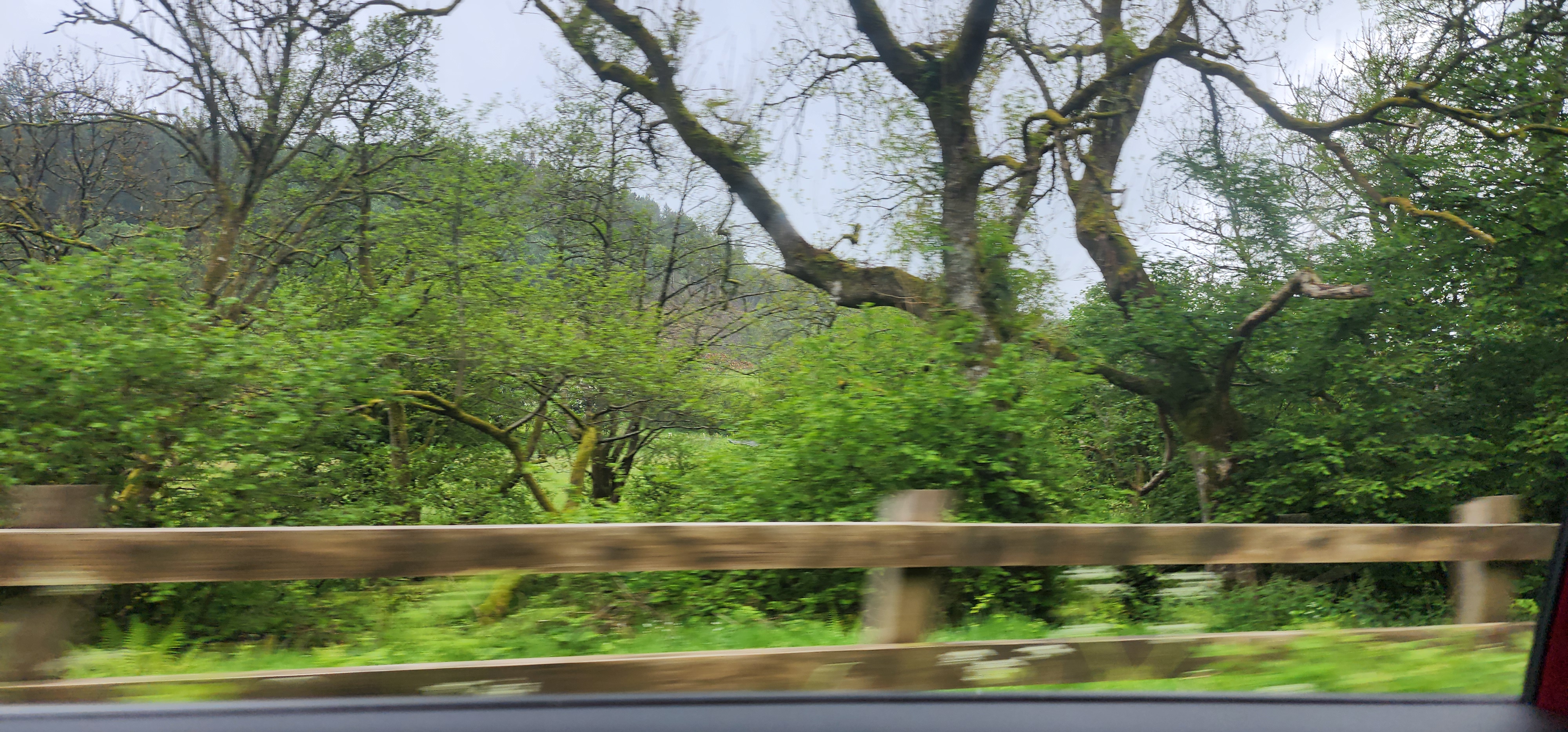 Lake Vyrnwy 67
