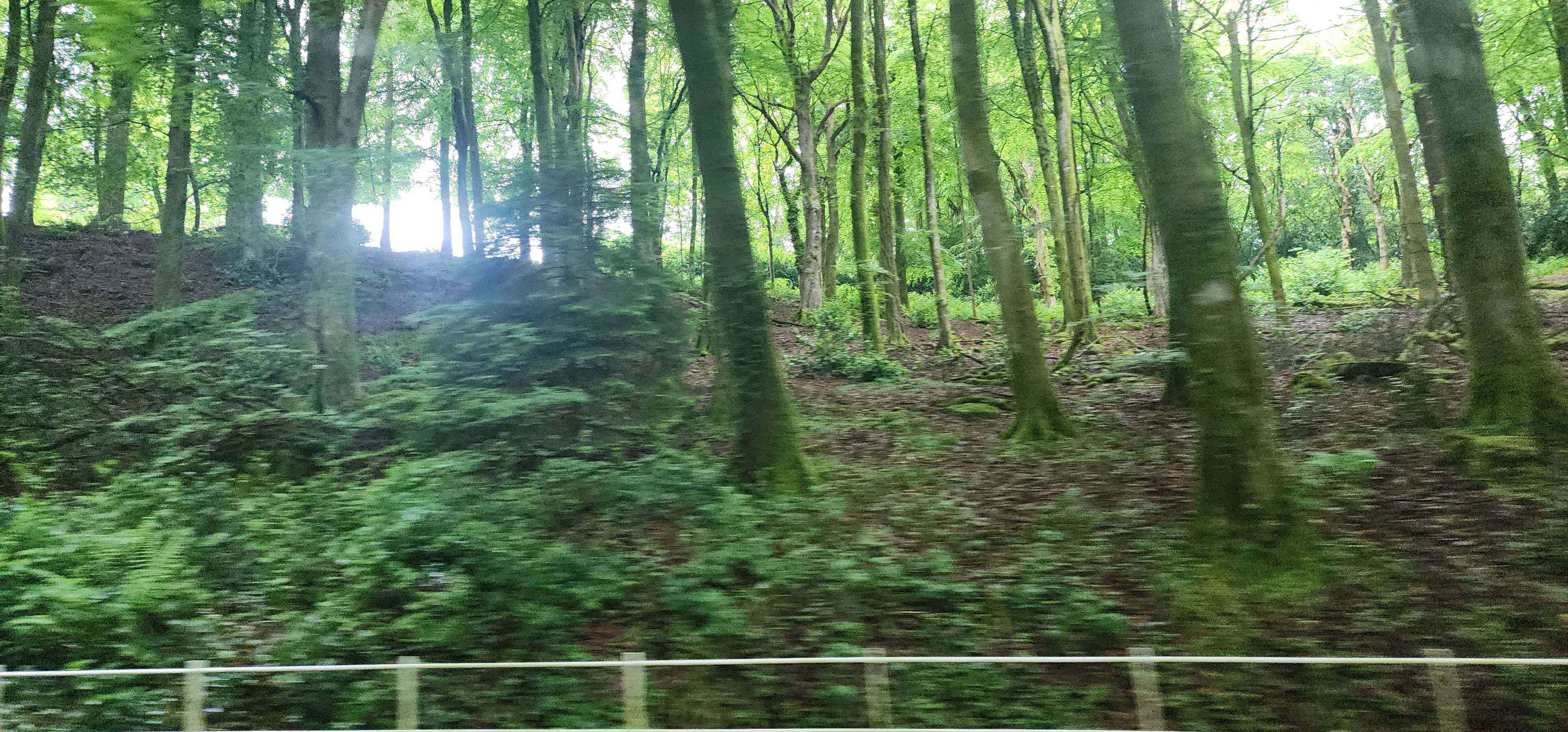 Lake Vyrnwy 68