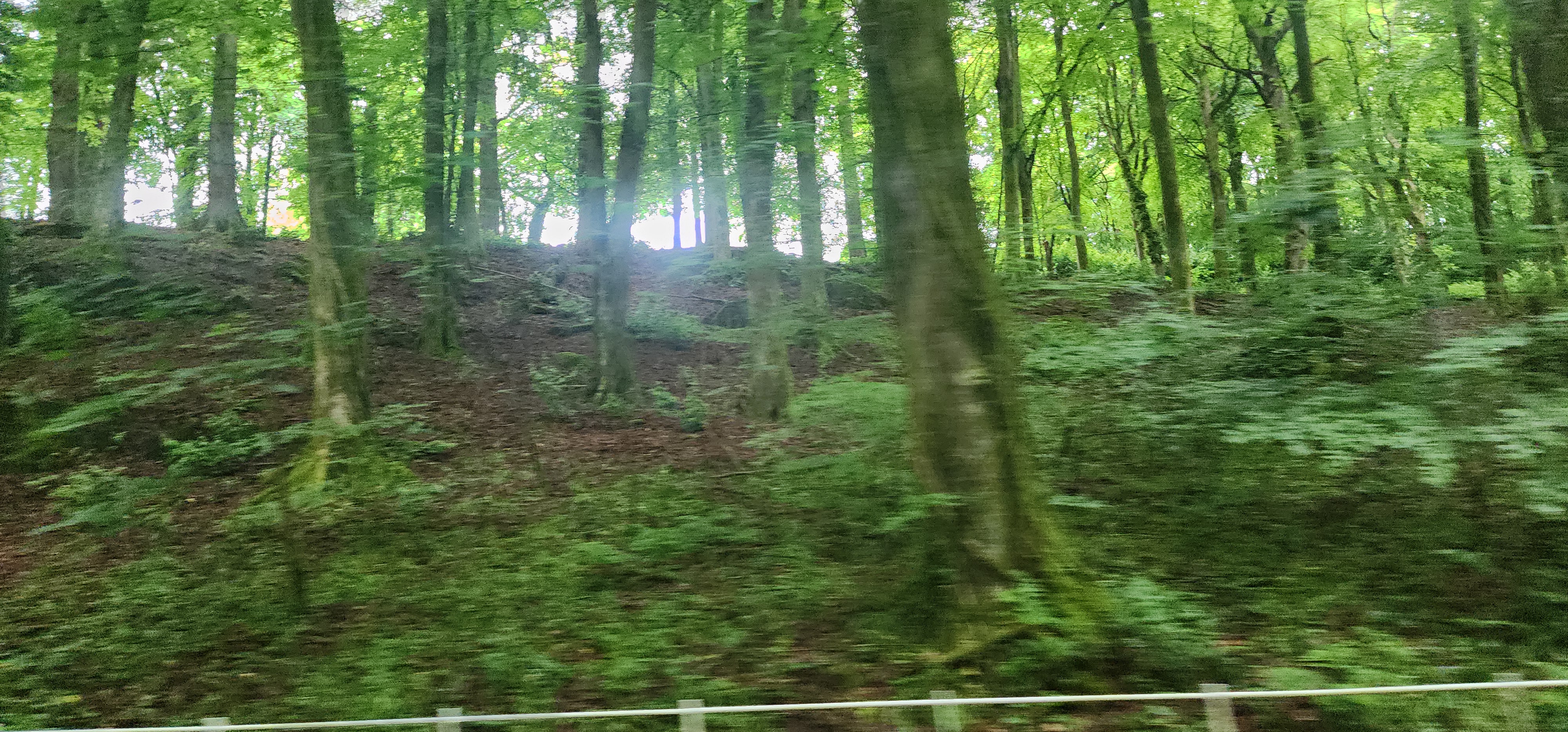 Lake Vyrnwy 69