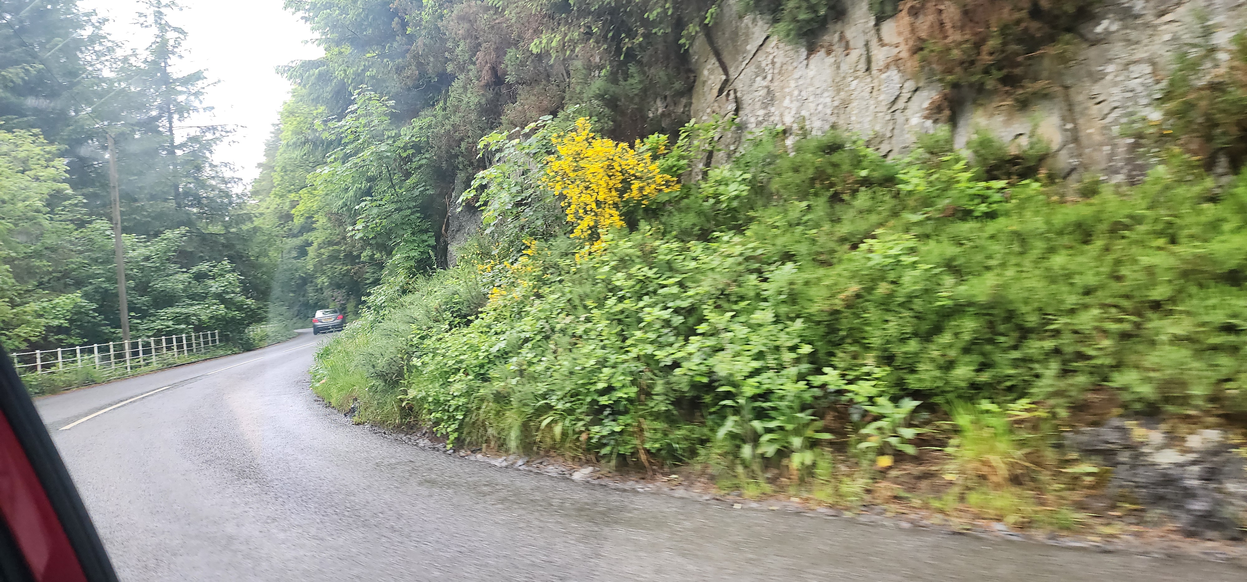 Lake Vyrnwy 71