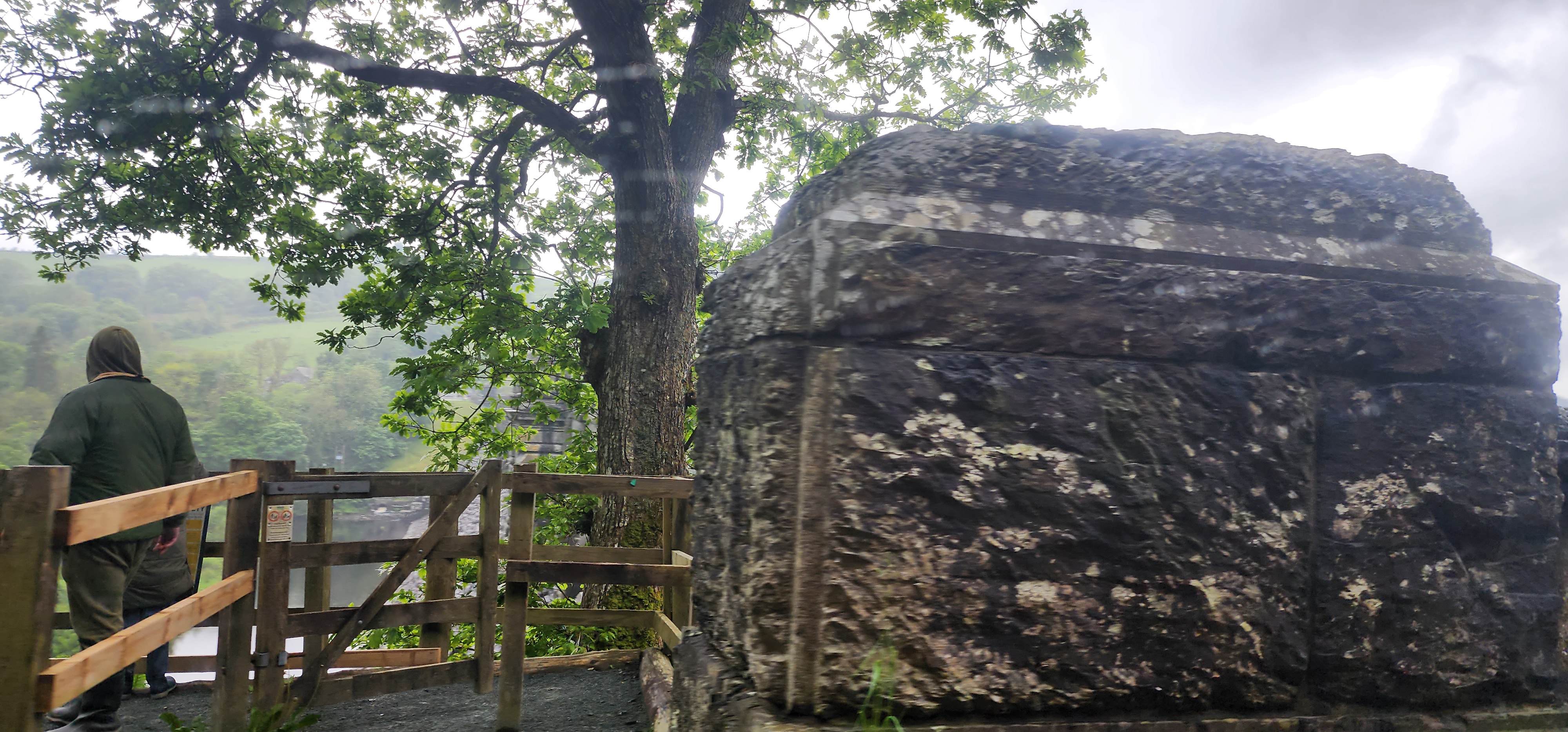Lake Vyrnwy 75