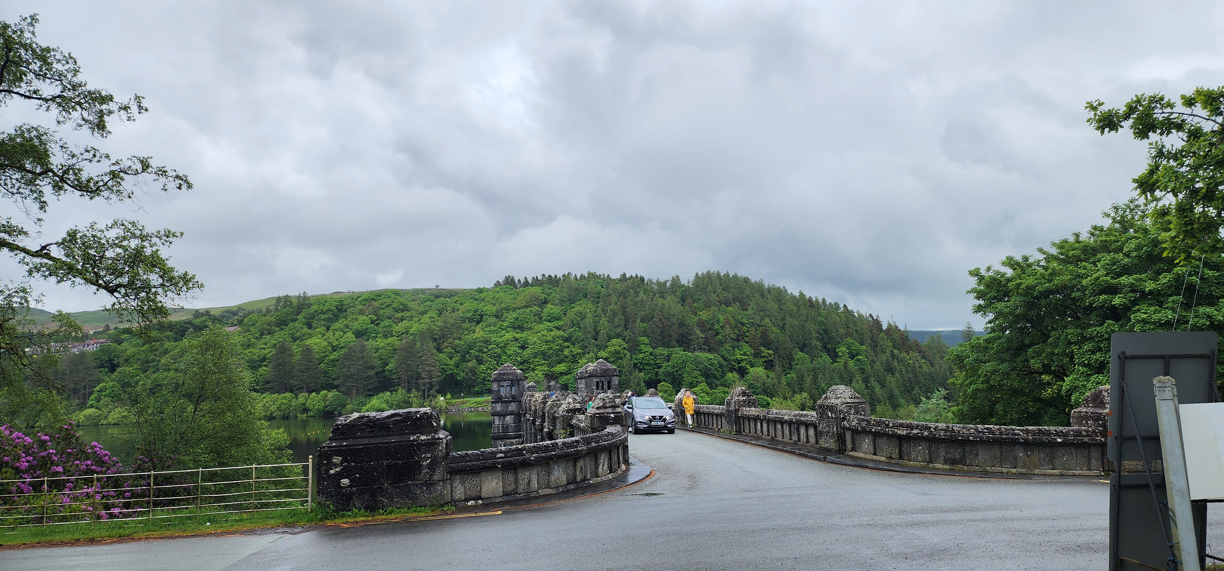 Lake Vyrnwy 90