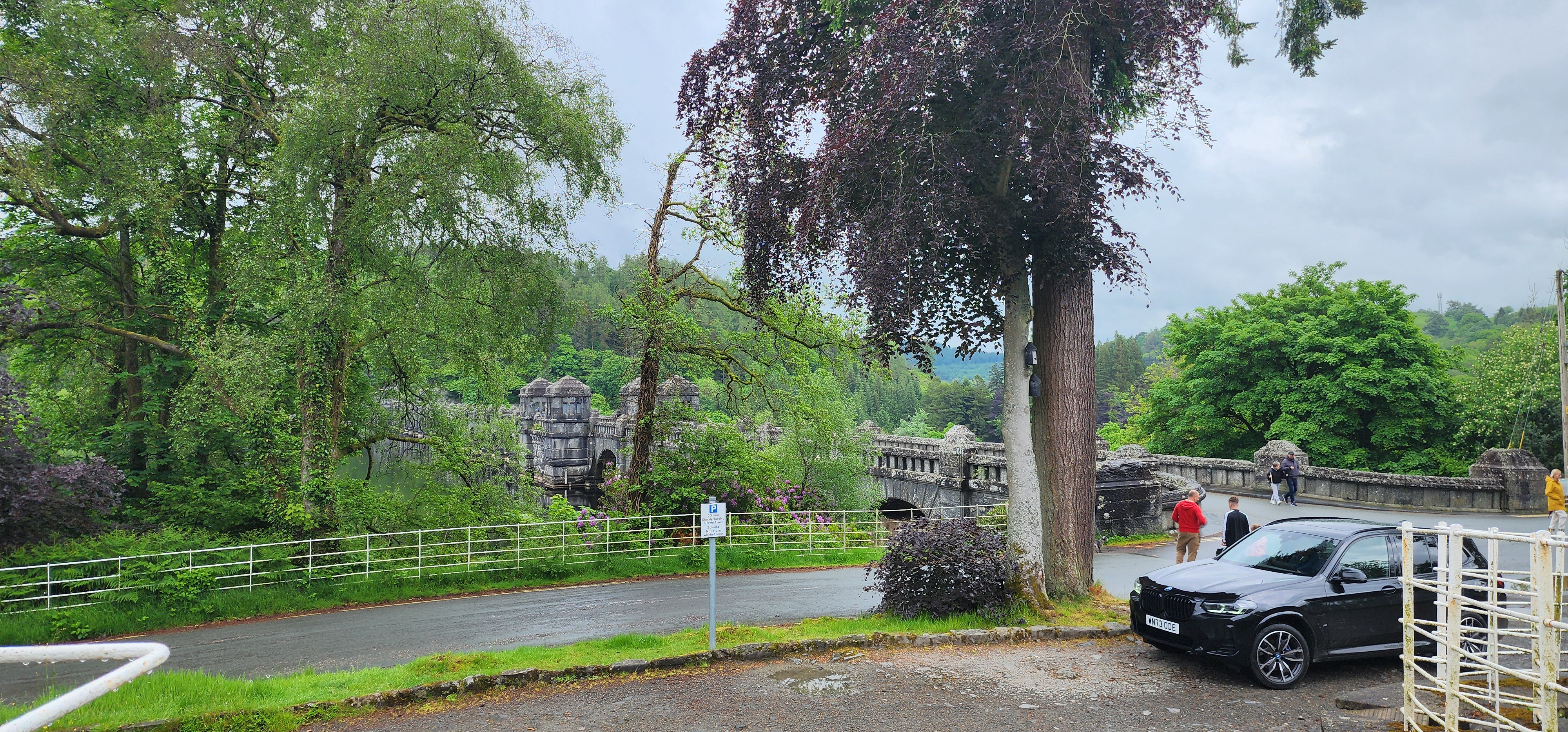 Lake Vyrnwy 91