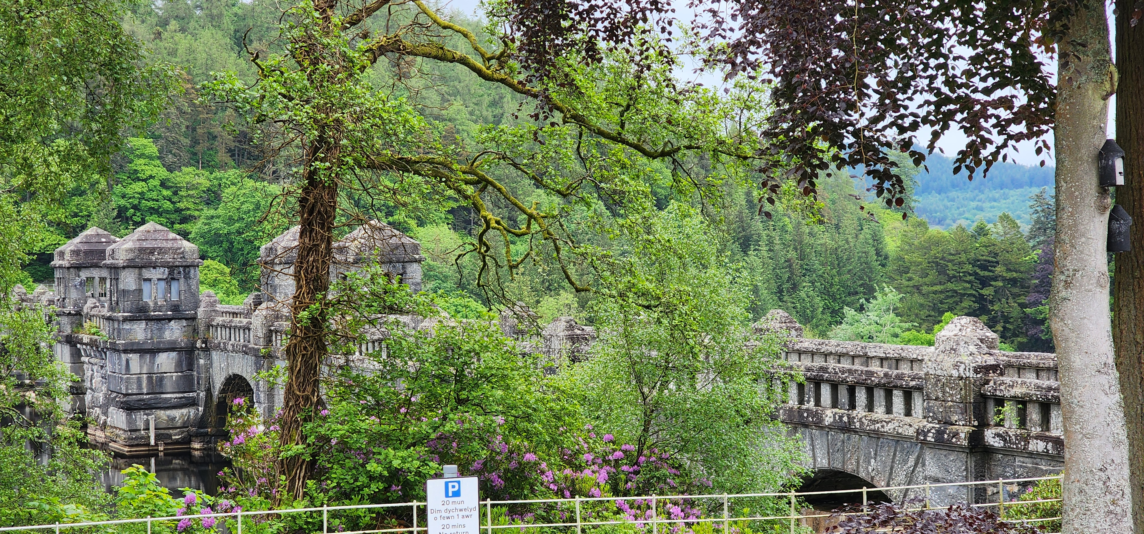 Lake Vyrnwy 92