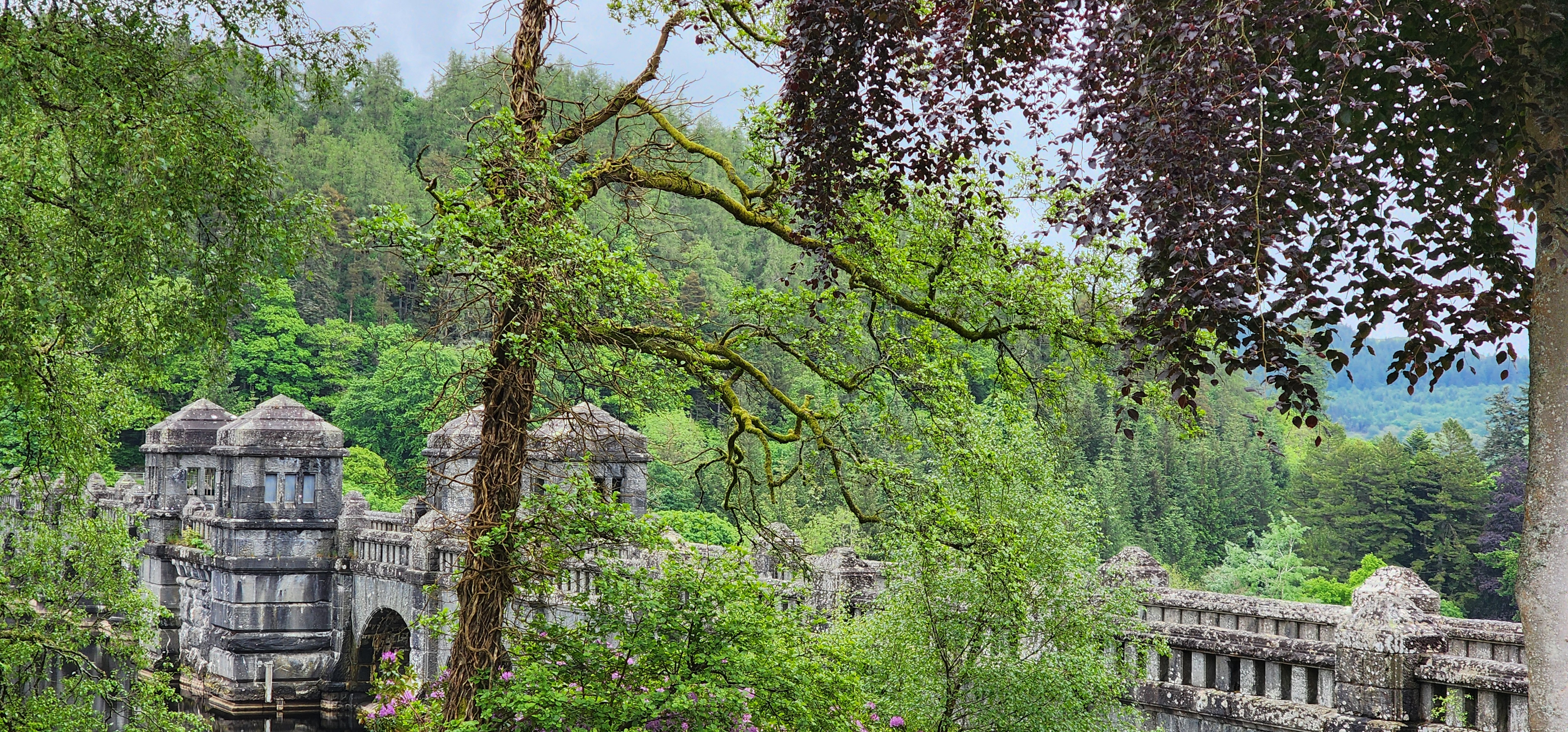 Lake Vyrnwy 93