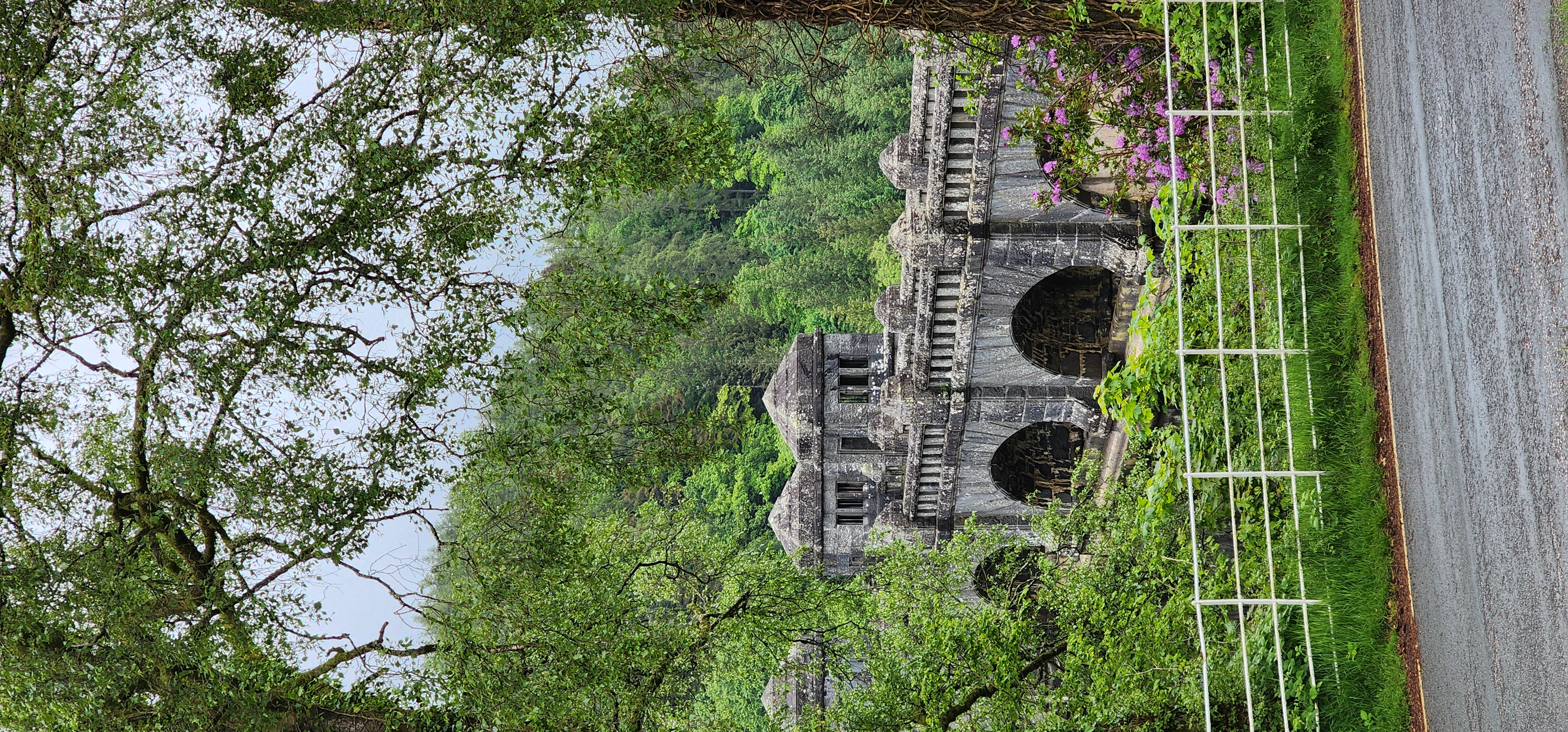 Lake Vyrnwy 95