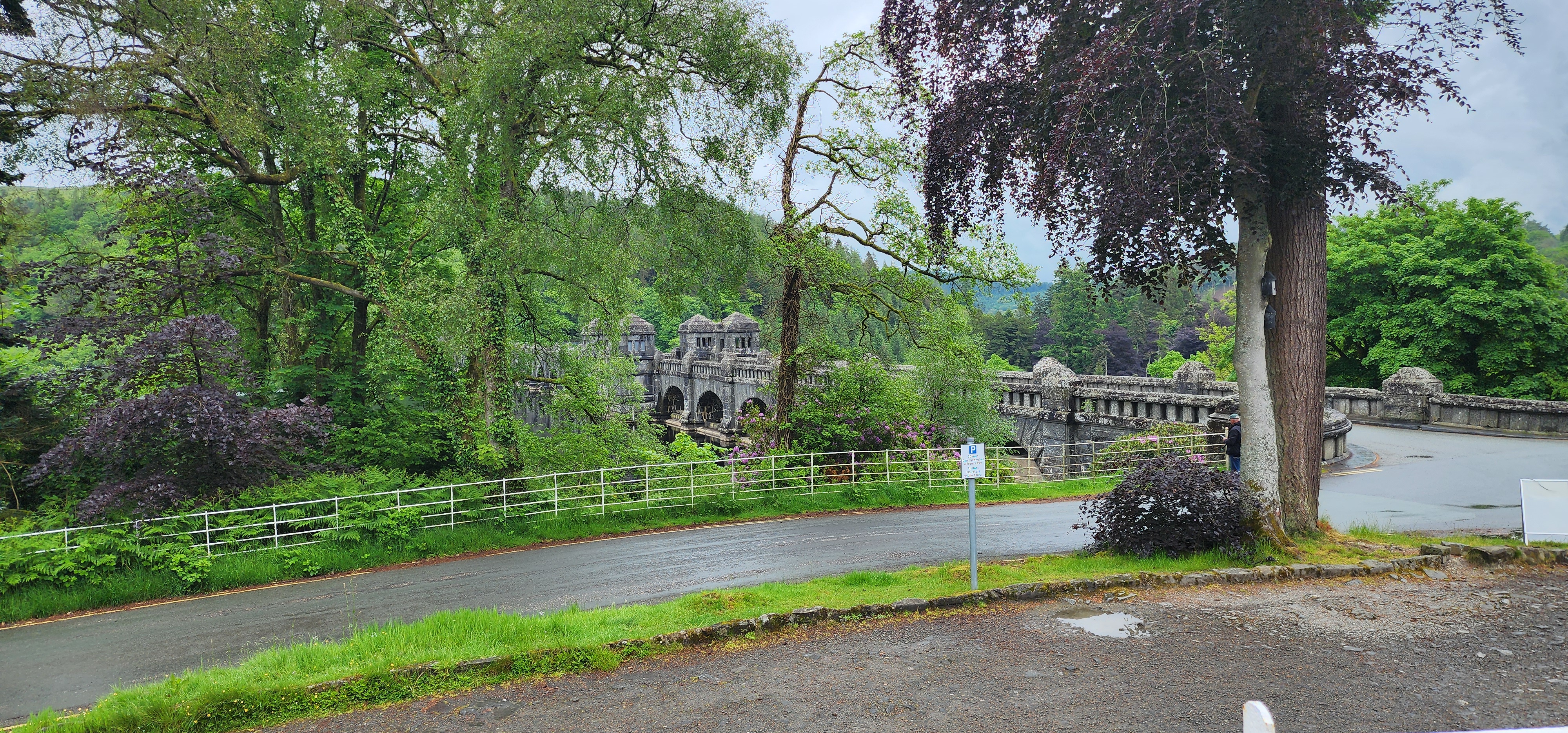 Lake Vyrnwy 96