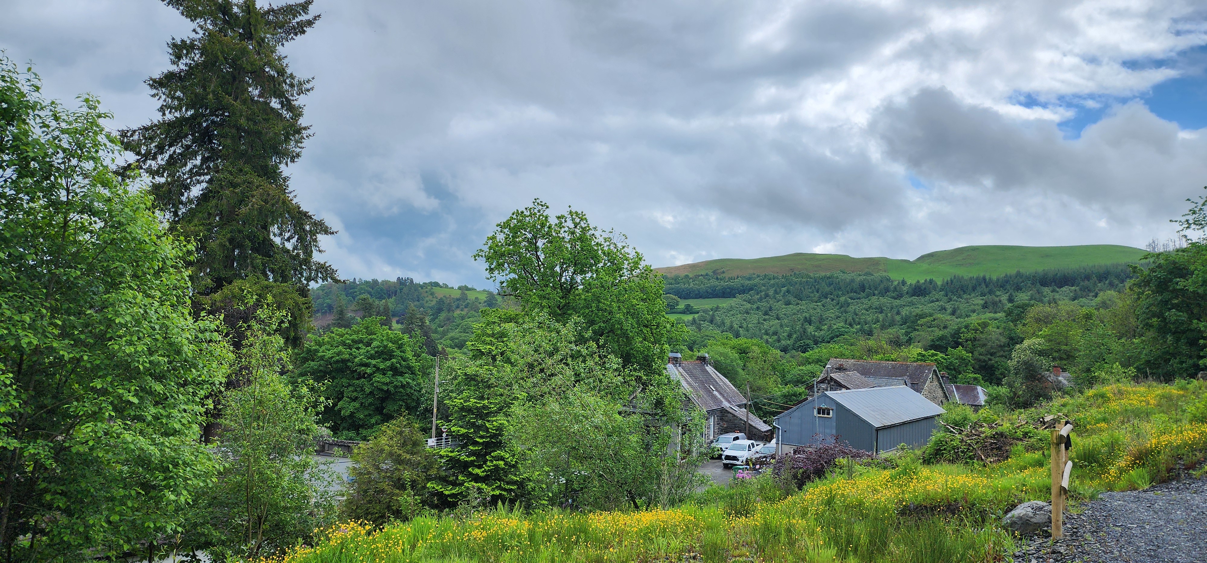 Lake Vyrnwy 101