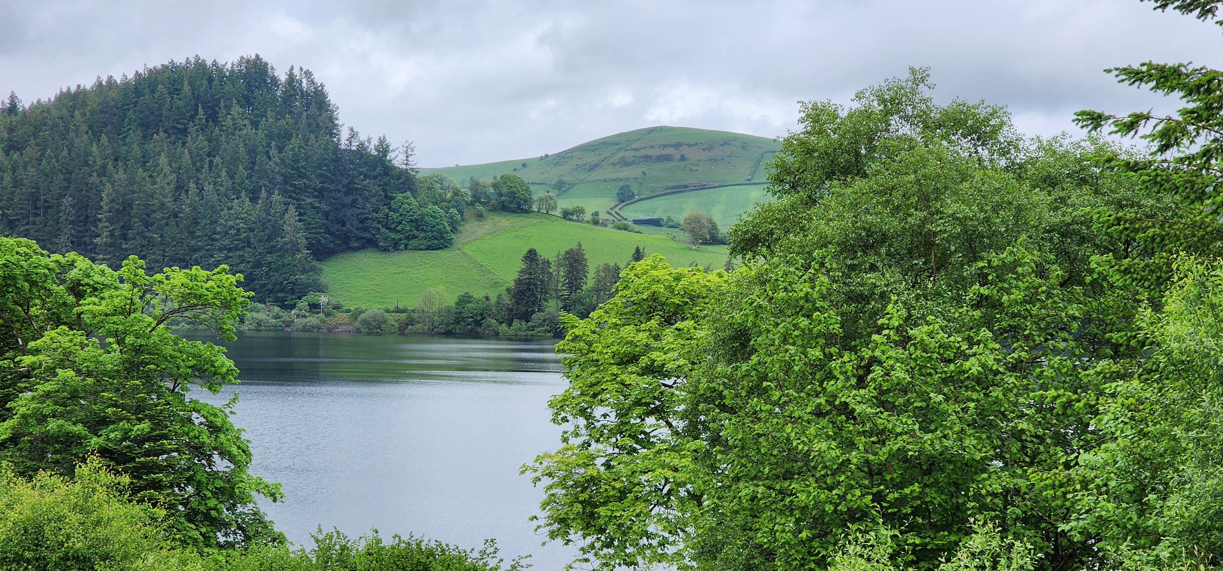 Lake Vyrnwy 102
