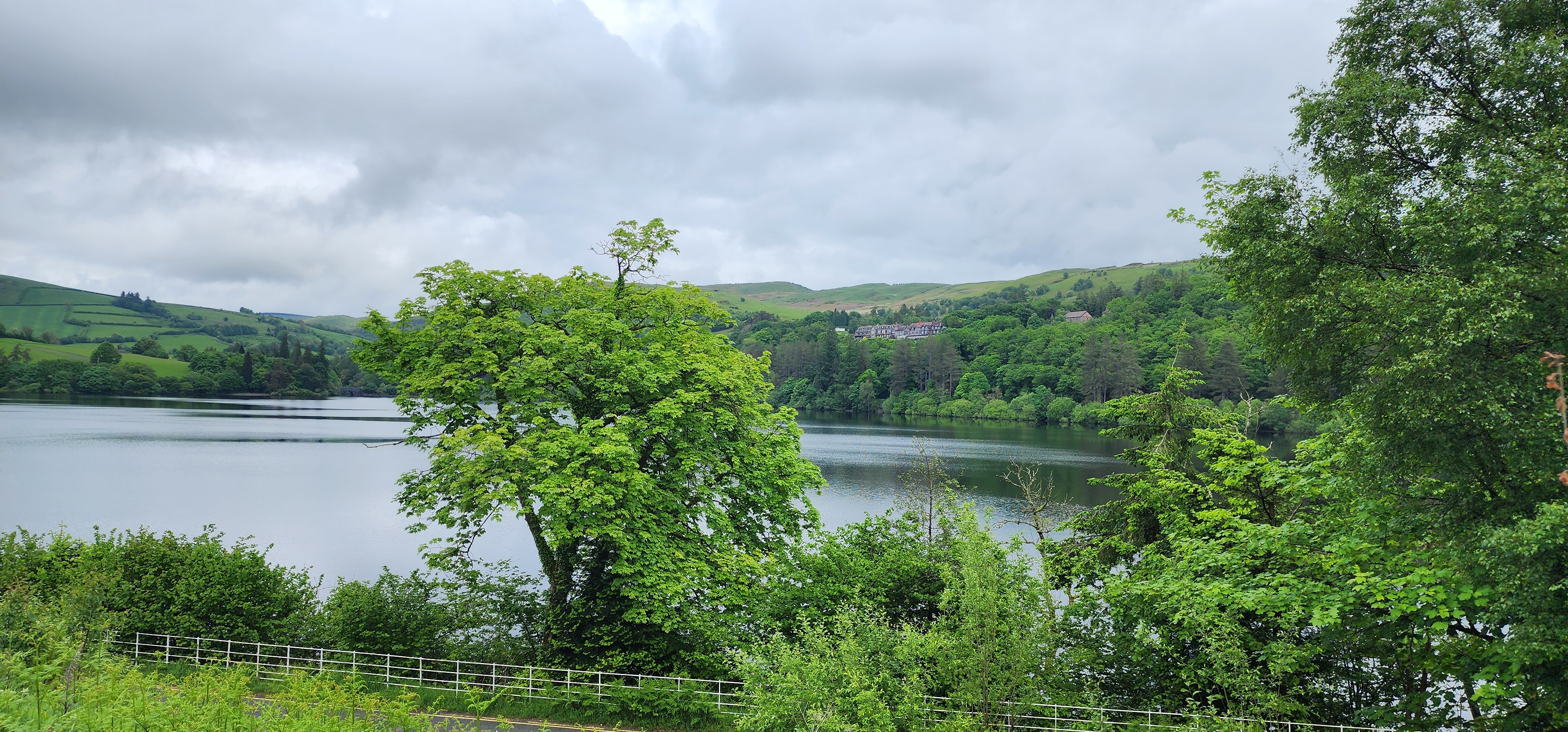 Lake Vyrnwy 106