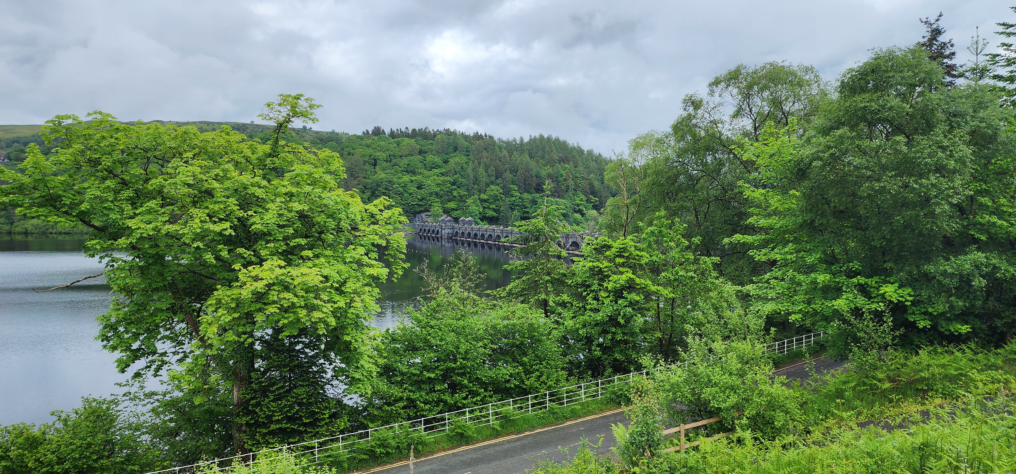 Lake Vyrnwy 107