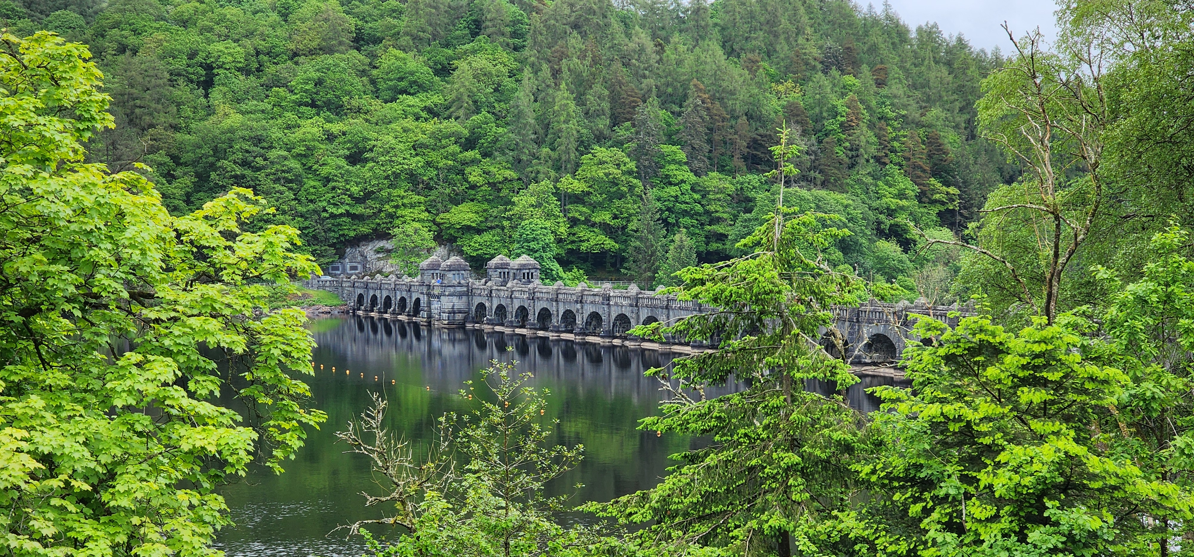 Lake Vyrnwy 108