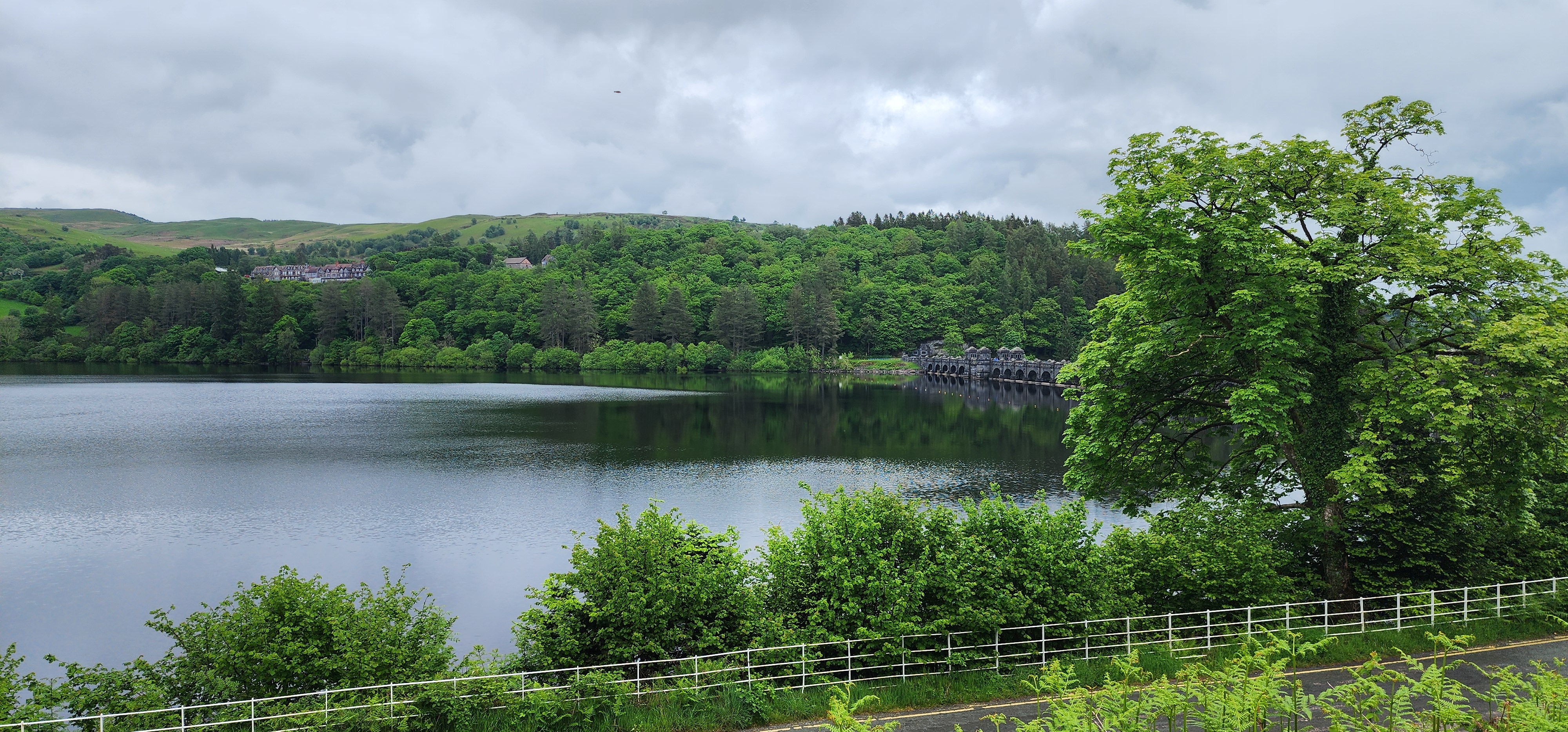 Lake Vyrnwy 110