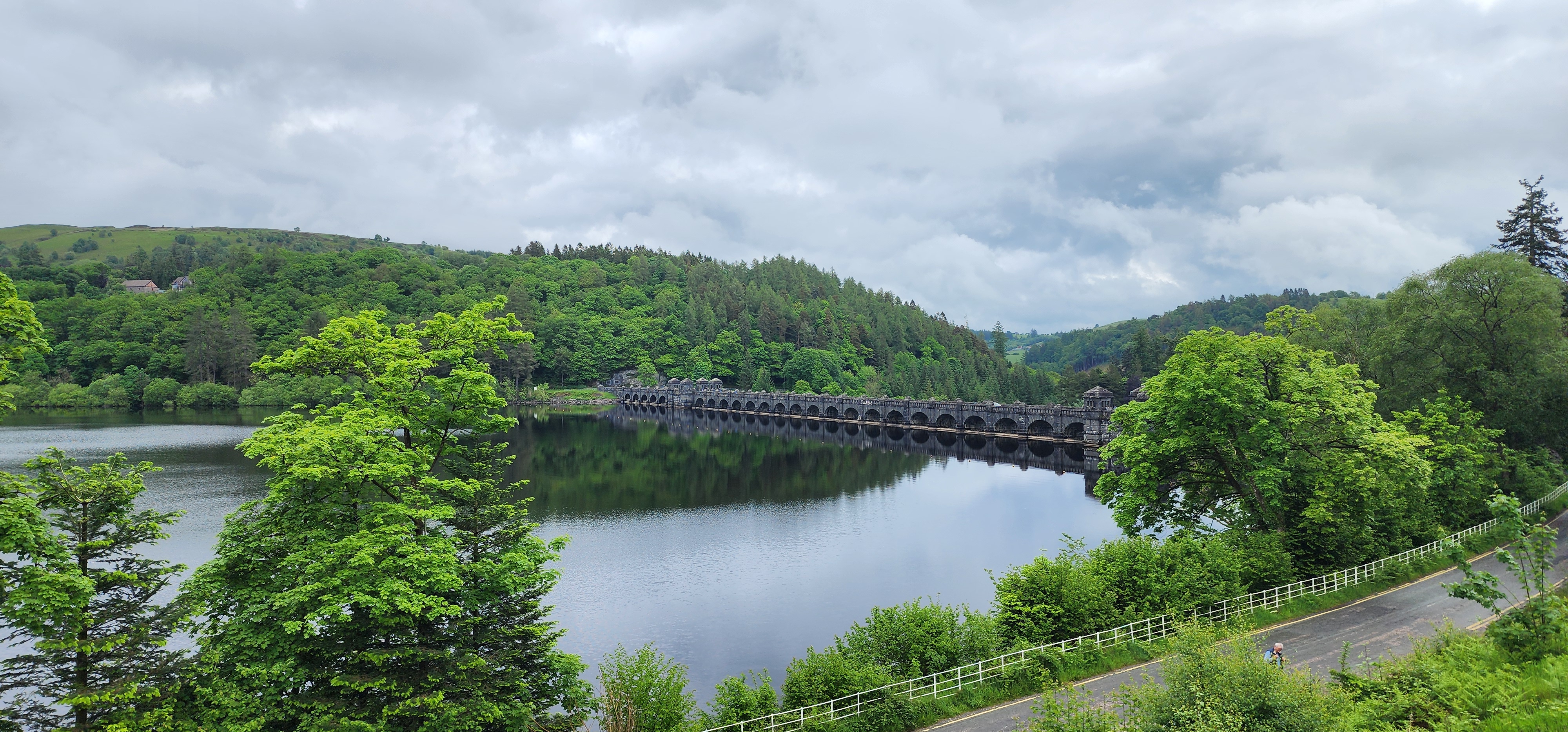 Lake Vyrnwy 113