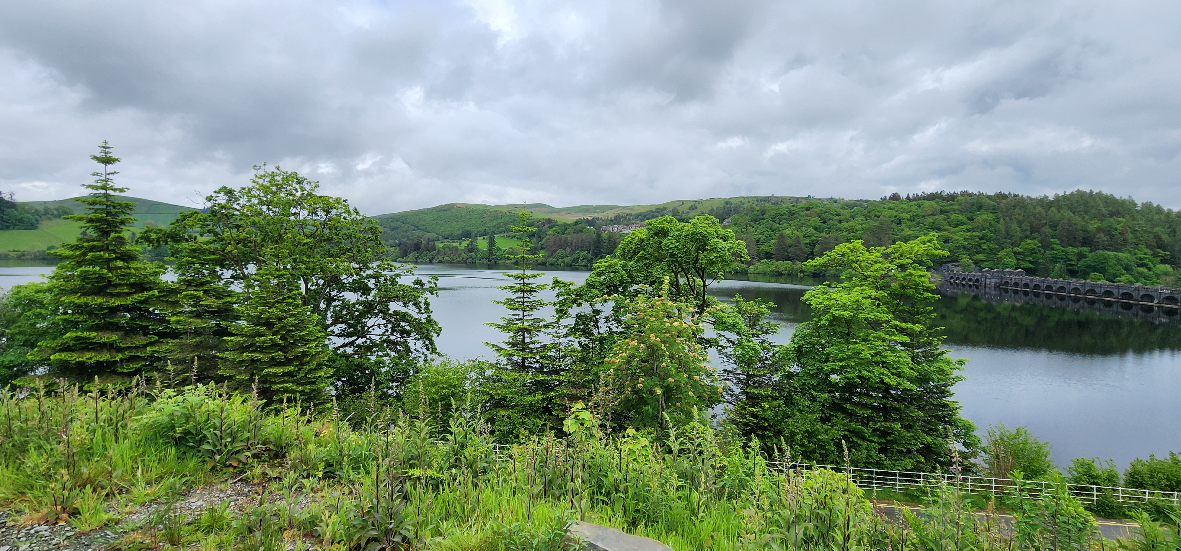 Lake Vyrnwy 115