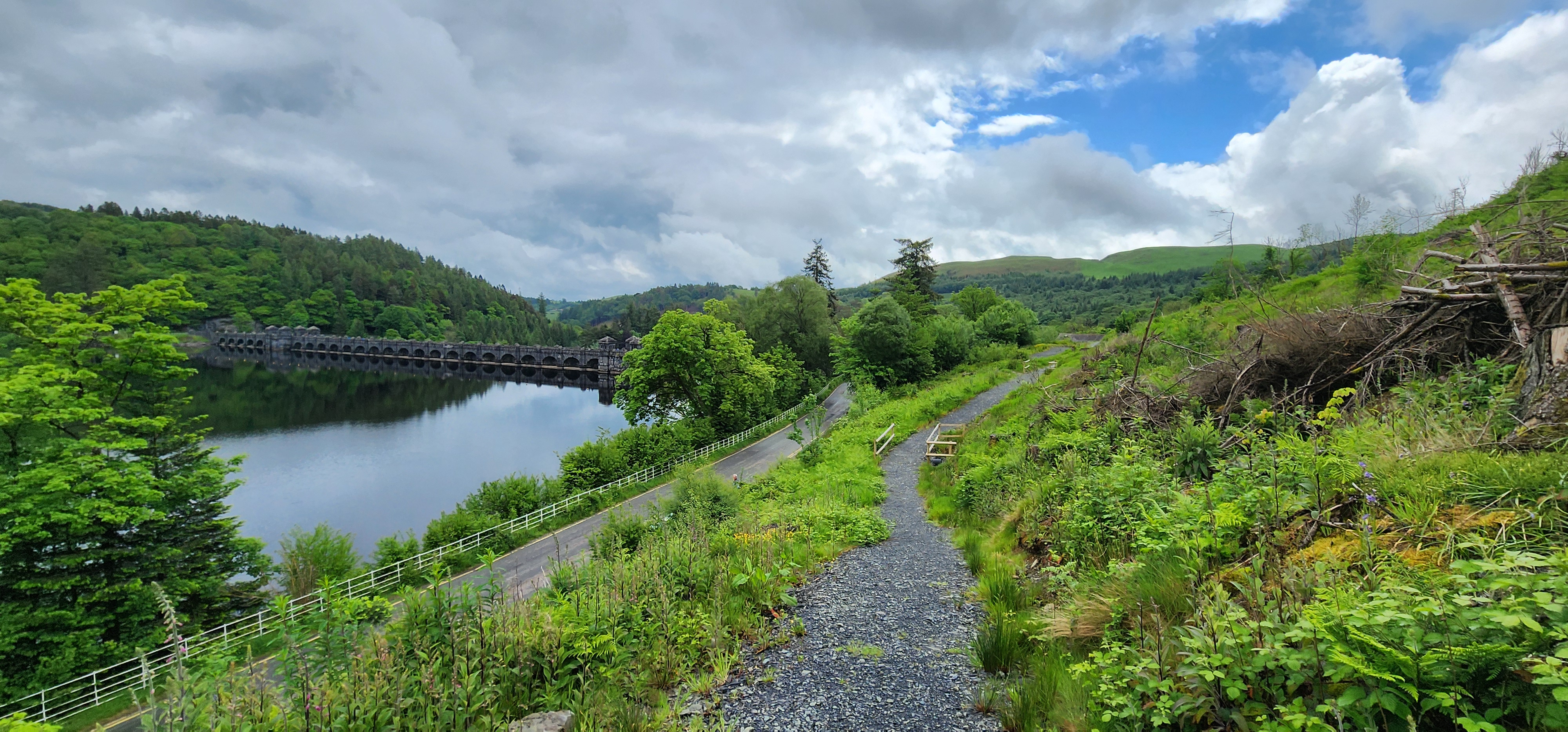 Lake Vyrnwy 116