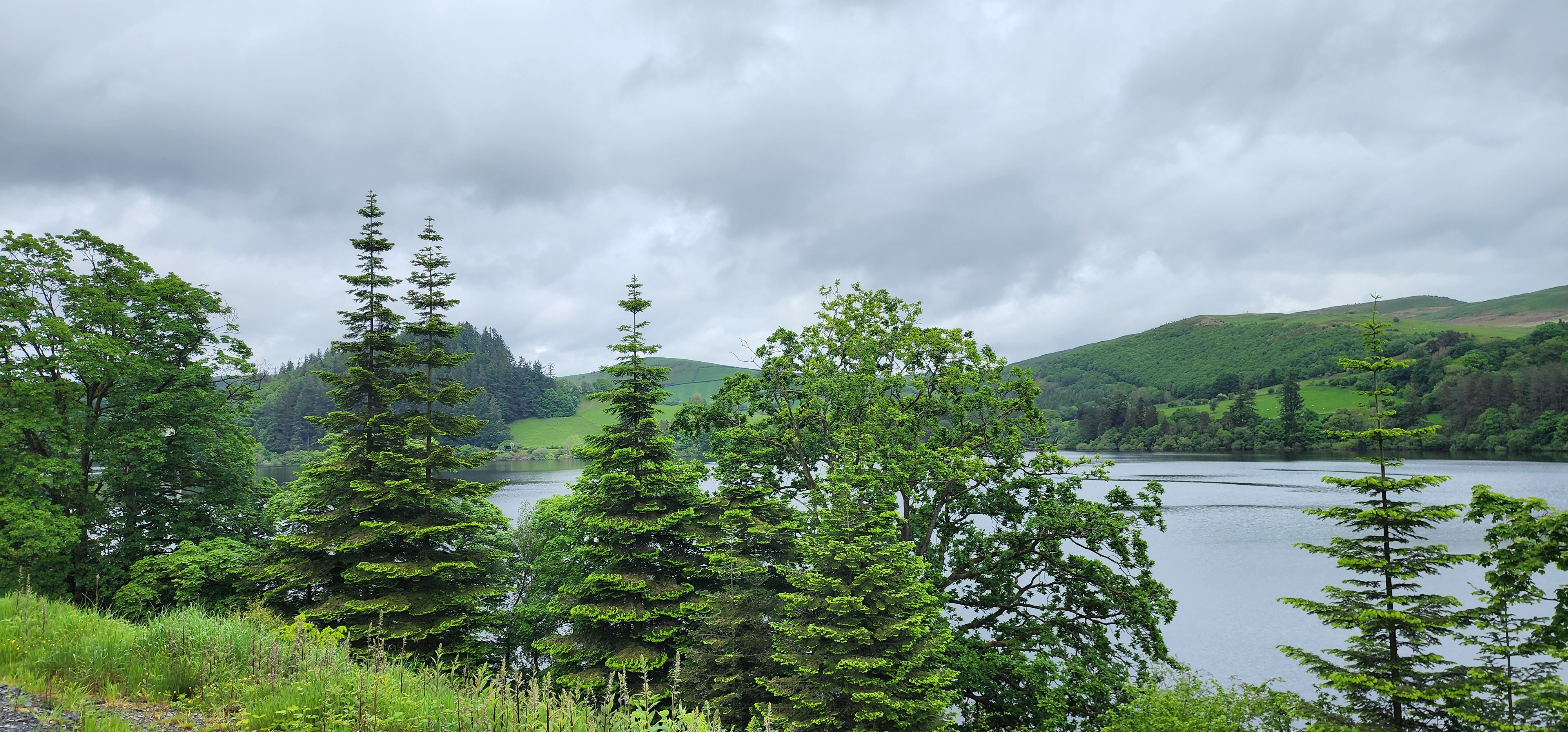 Lake Vyrnwy 118