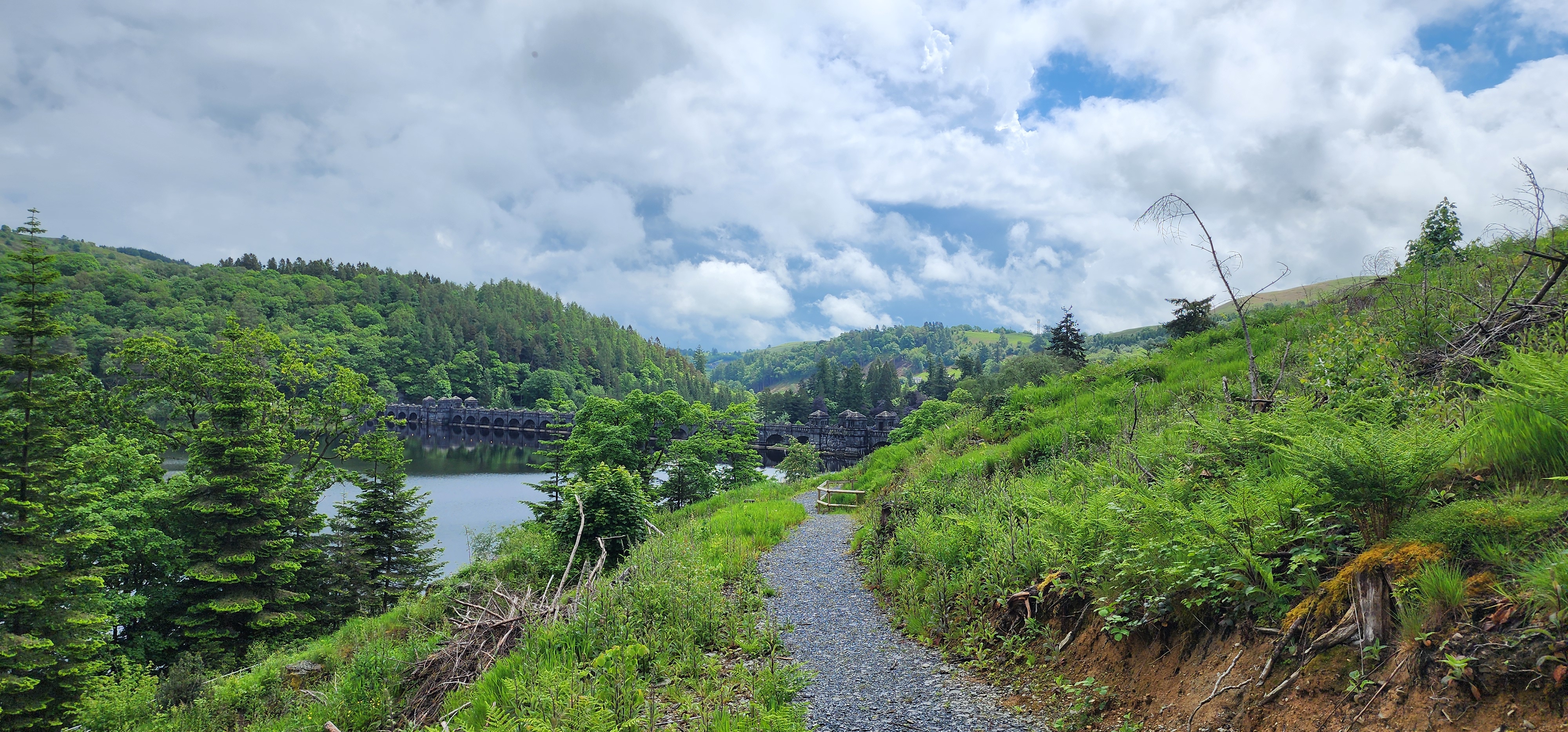 Lake Vyrnwy 125