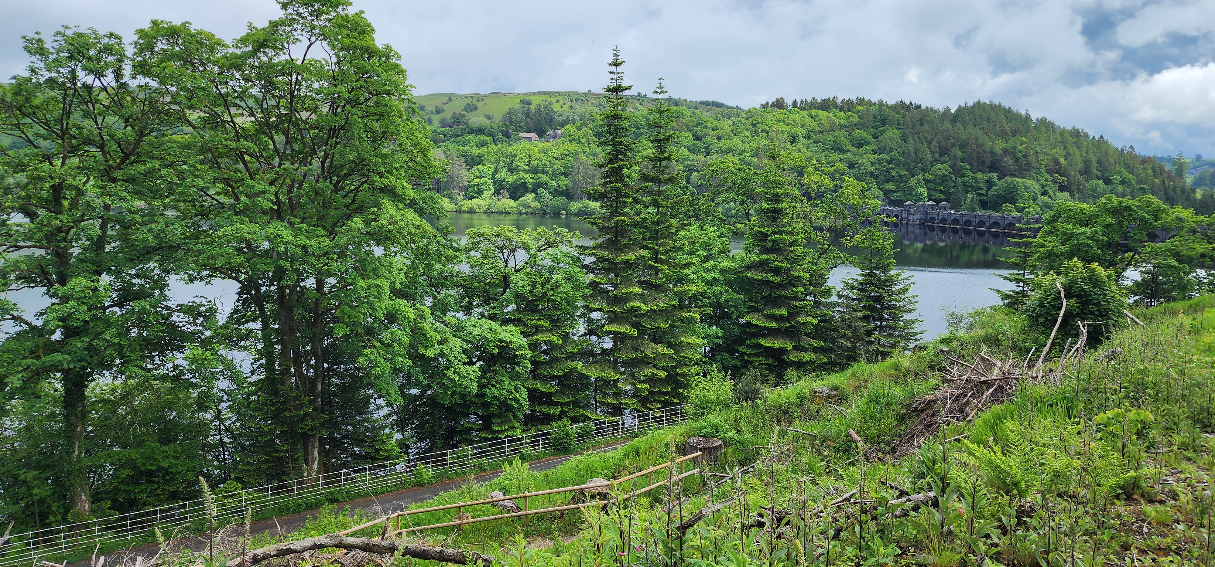 Lake Vyrnwy 128