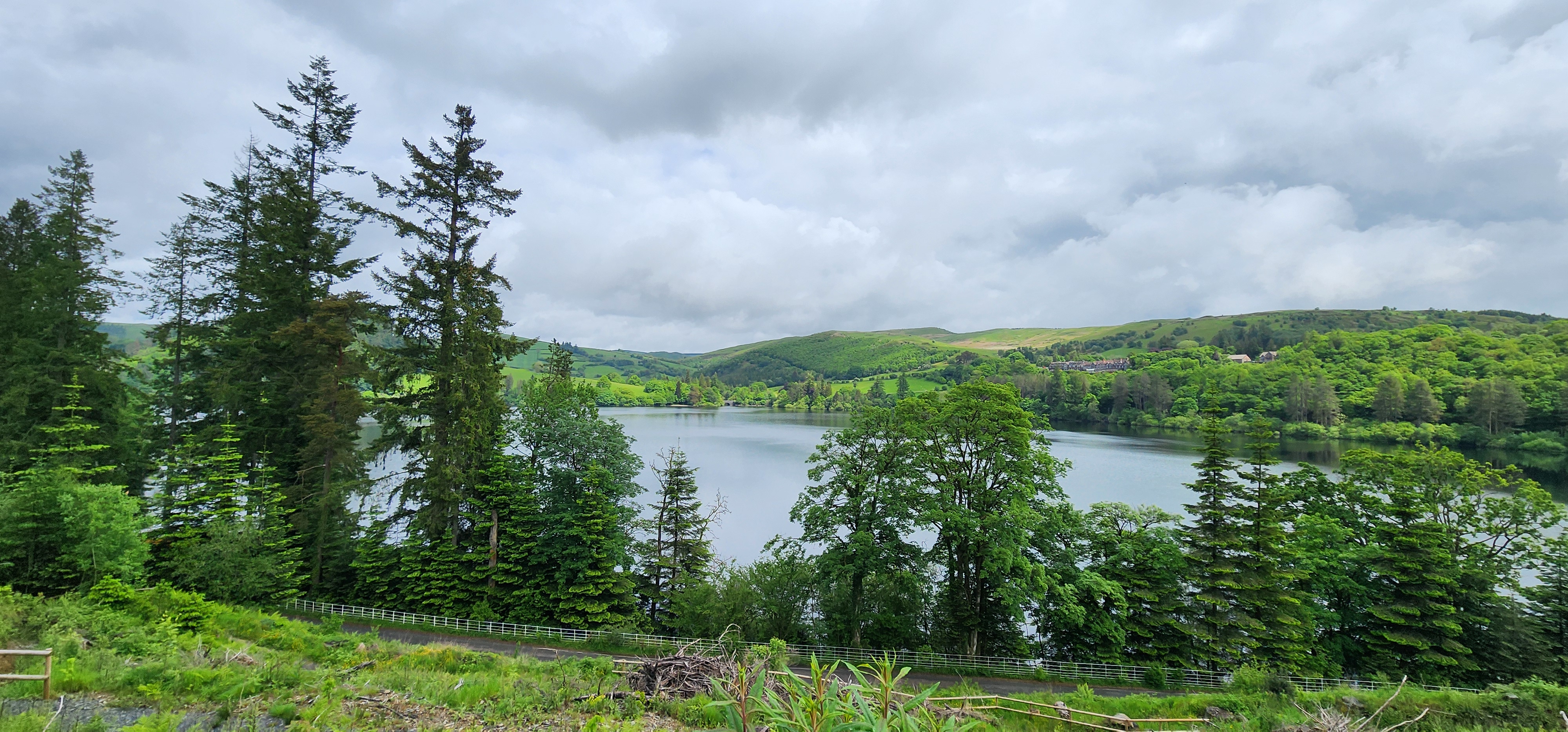 Lake Vyrnwy 132