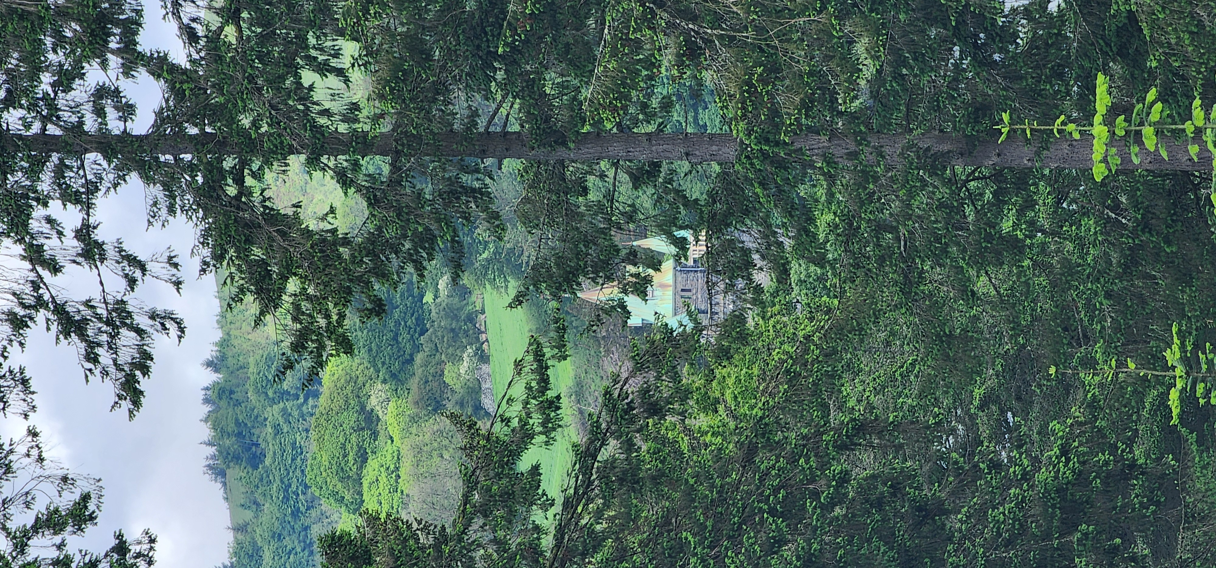 Lake Vyrnwy 133