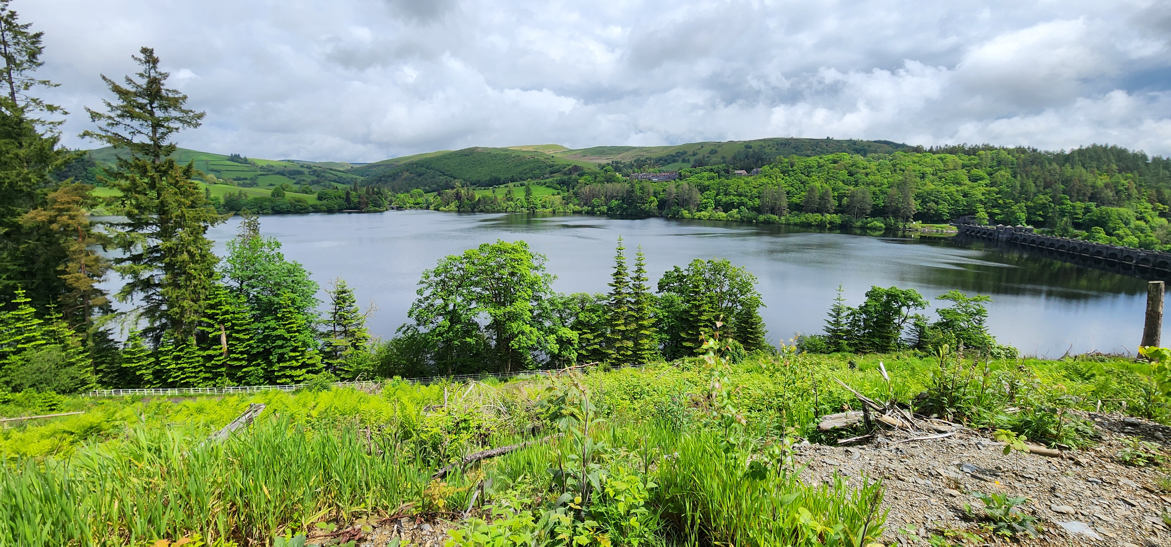 Lake Vyrnwy 141