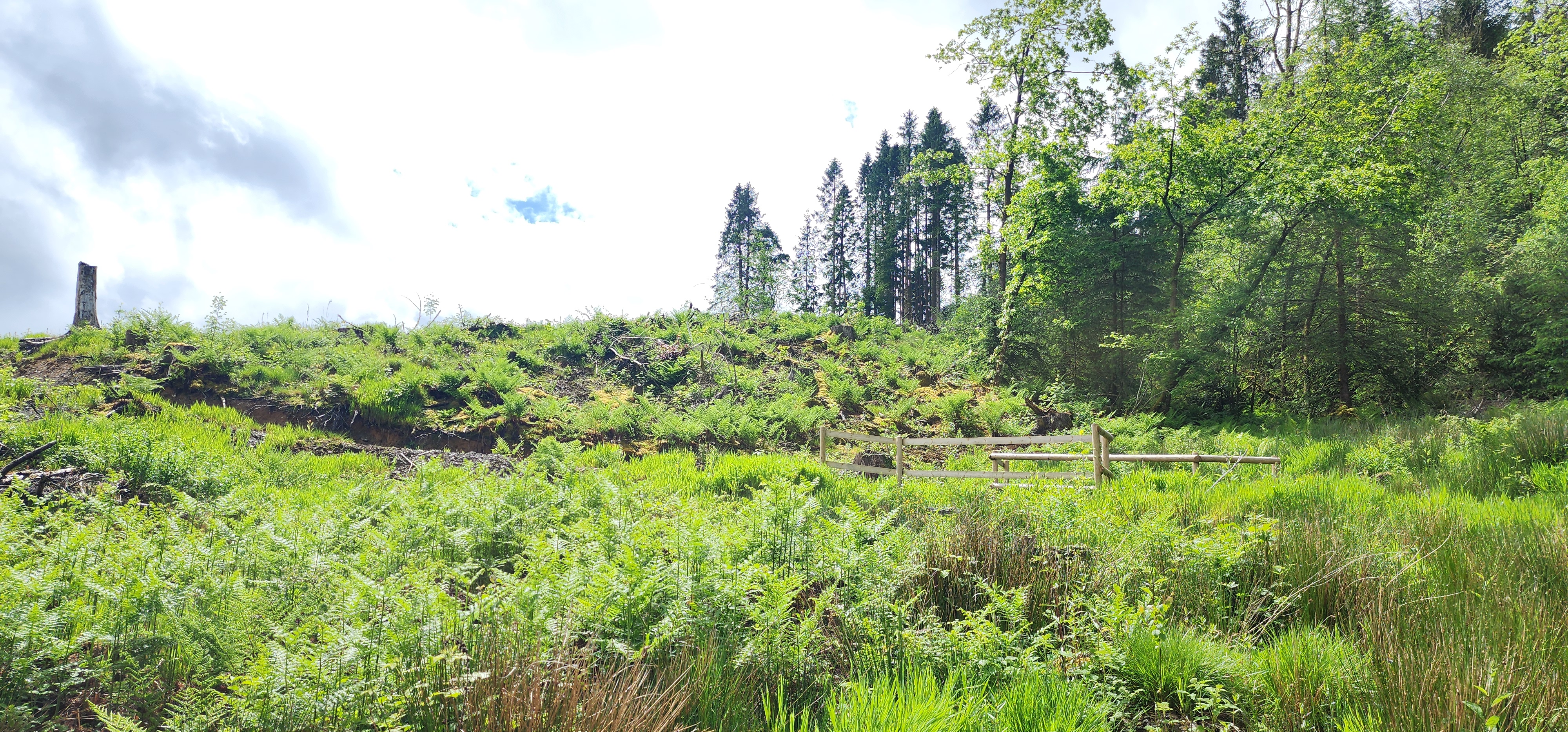 Lake Vyrnwy 143
