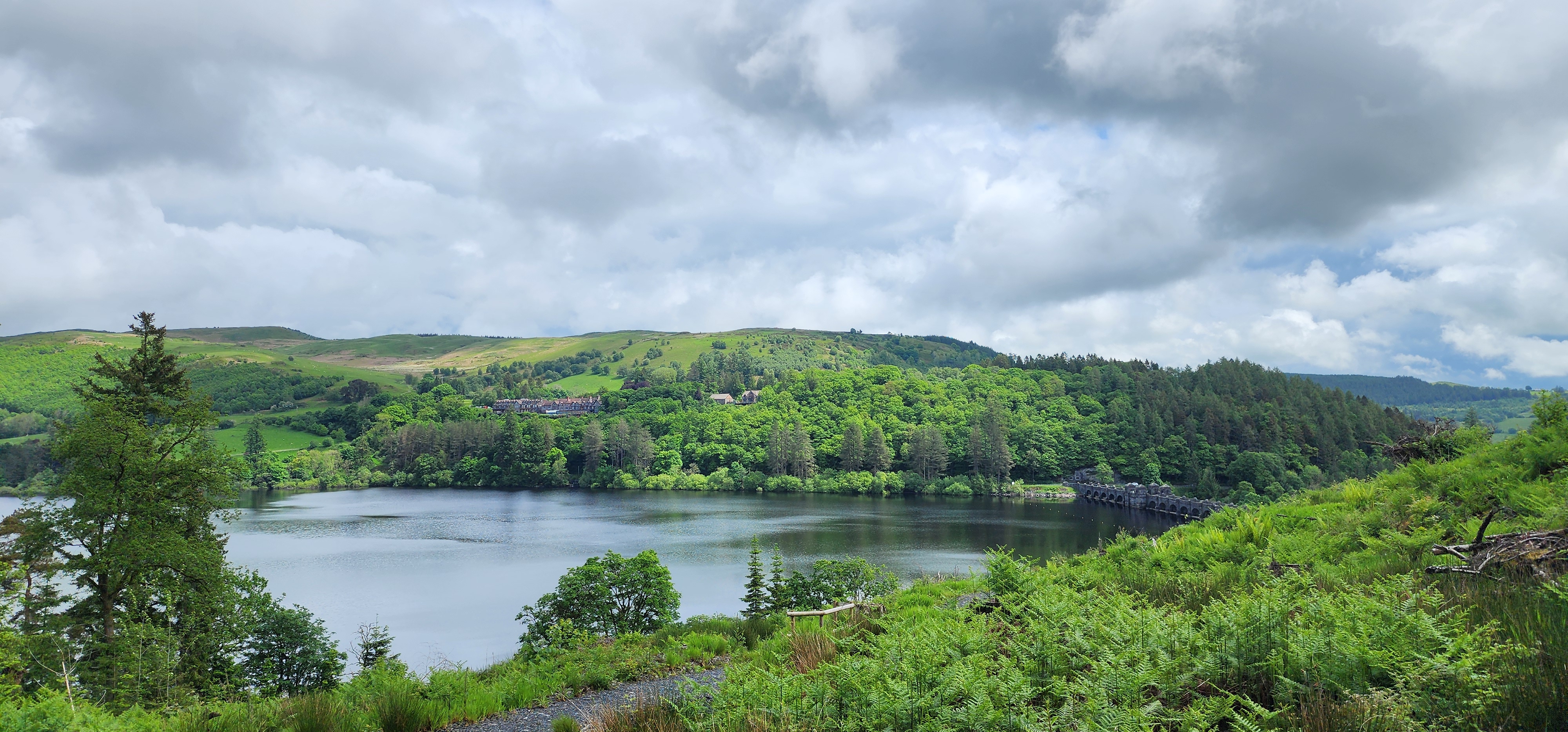 Lake Vyrnwy 145