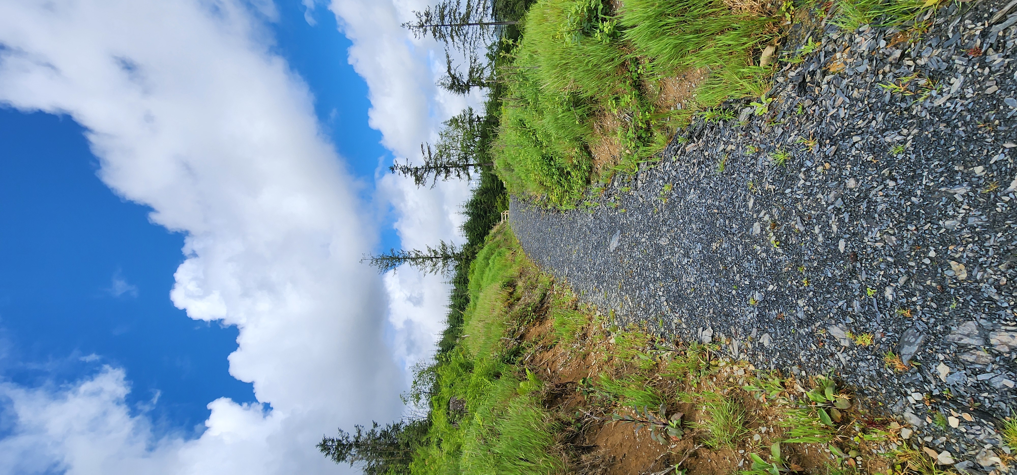 Lake Vyrnwy 158